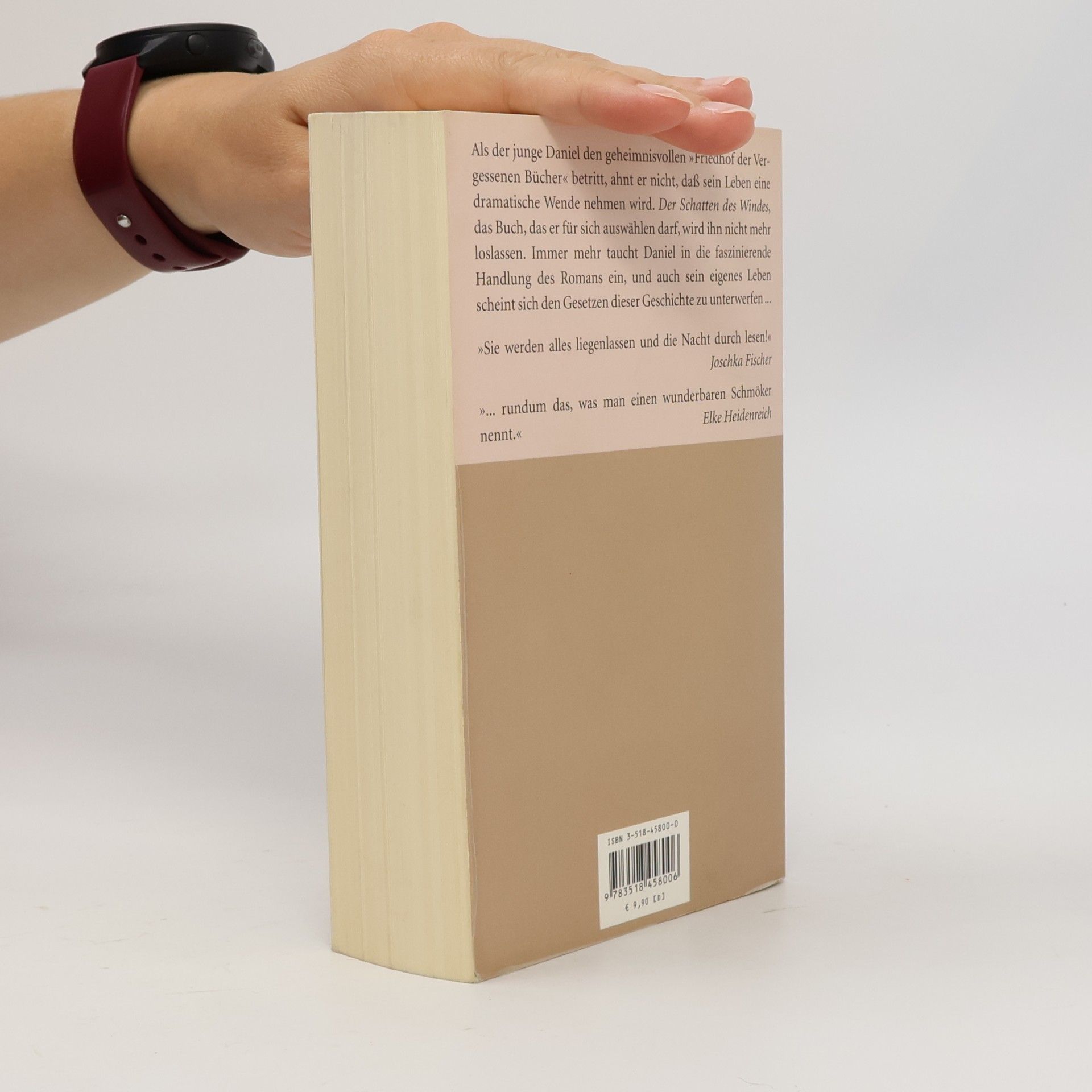 Carlos Ruiz Zafón Der Schatten des Windes
