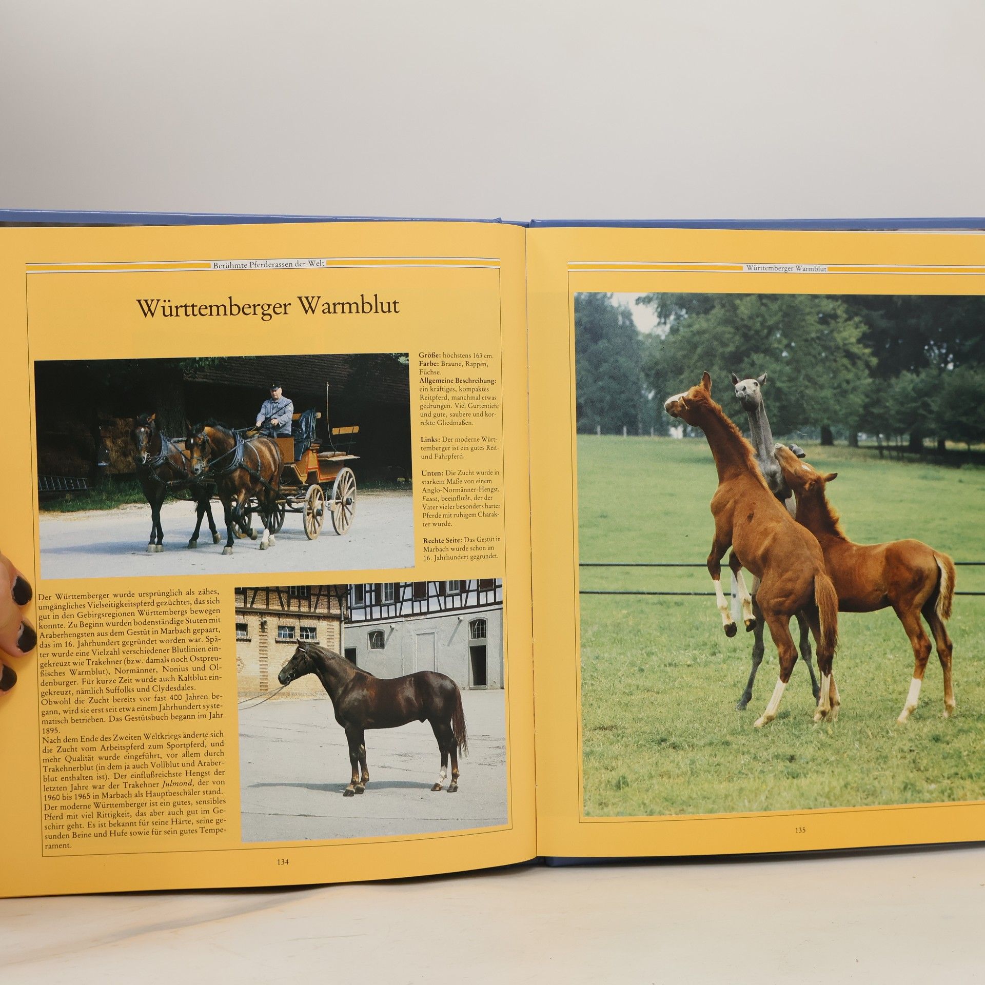 Carol Foster Das grosse Pferde Handbuch