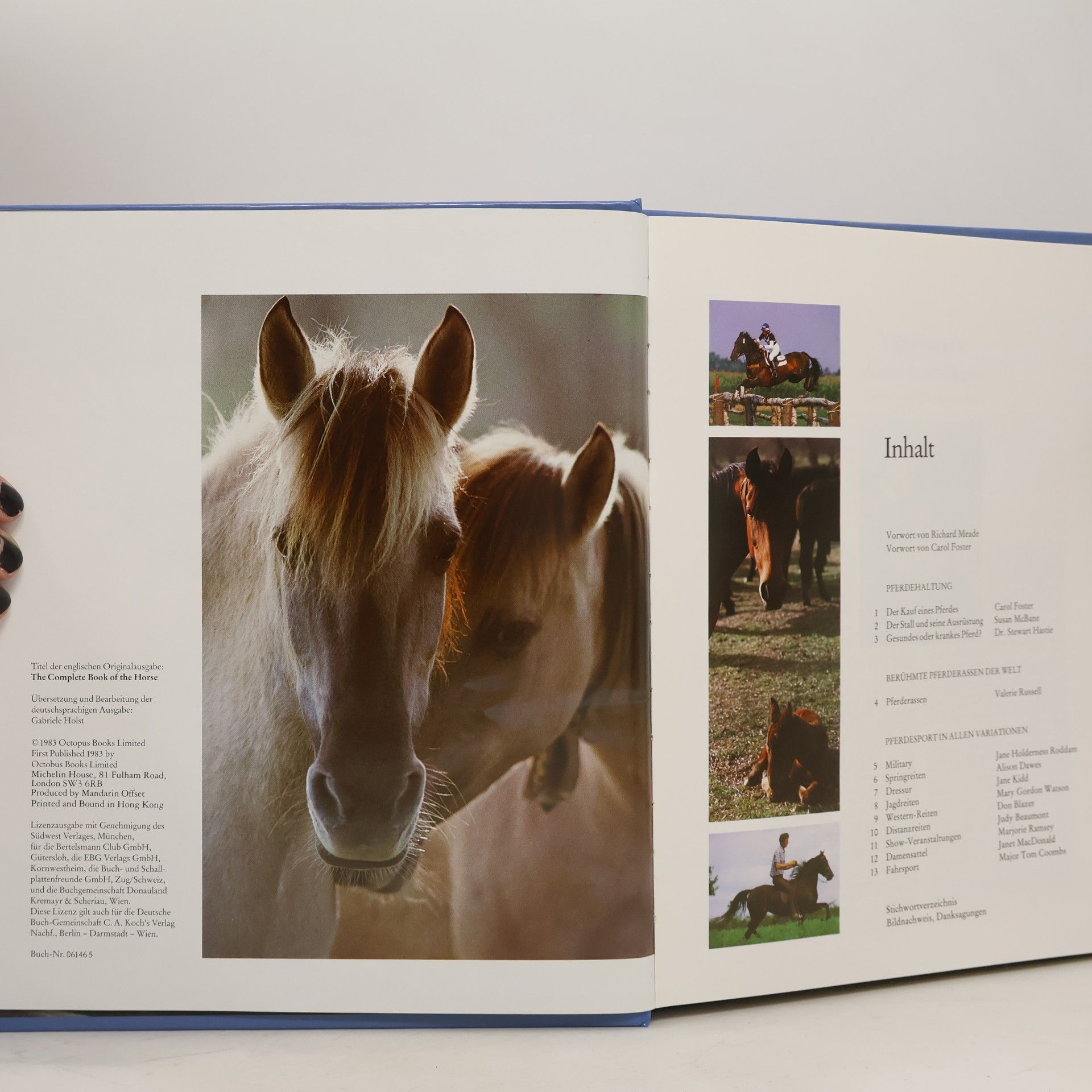 Carol Foster Das grosse Pferde Handbuch