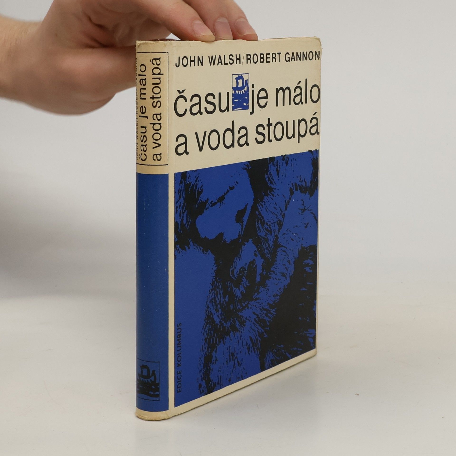 Robert Gannon Času je málo a voda stoupá