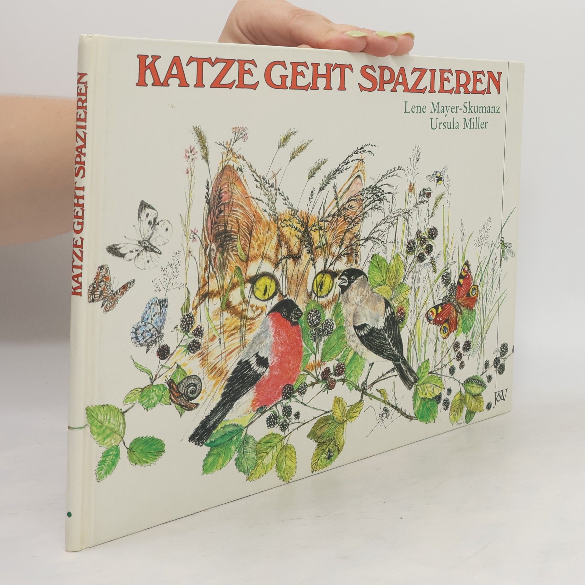 Ursula Miller Katze geht spazieren