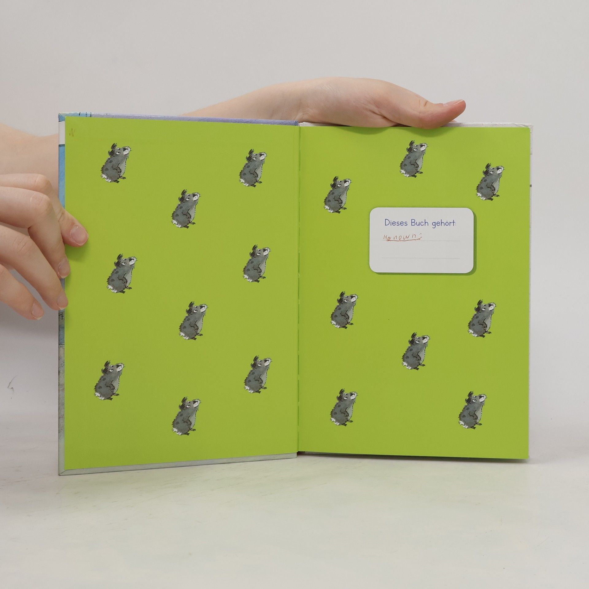 Kirsten Boie King-Kong, das Geheimschwein
