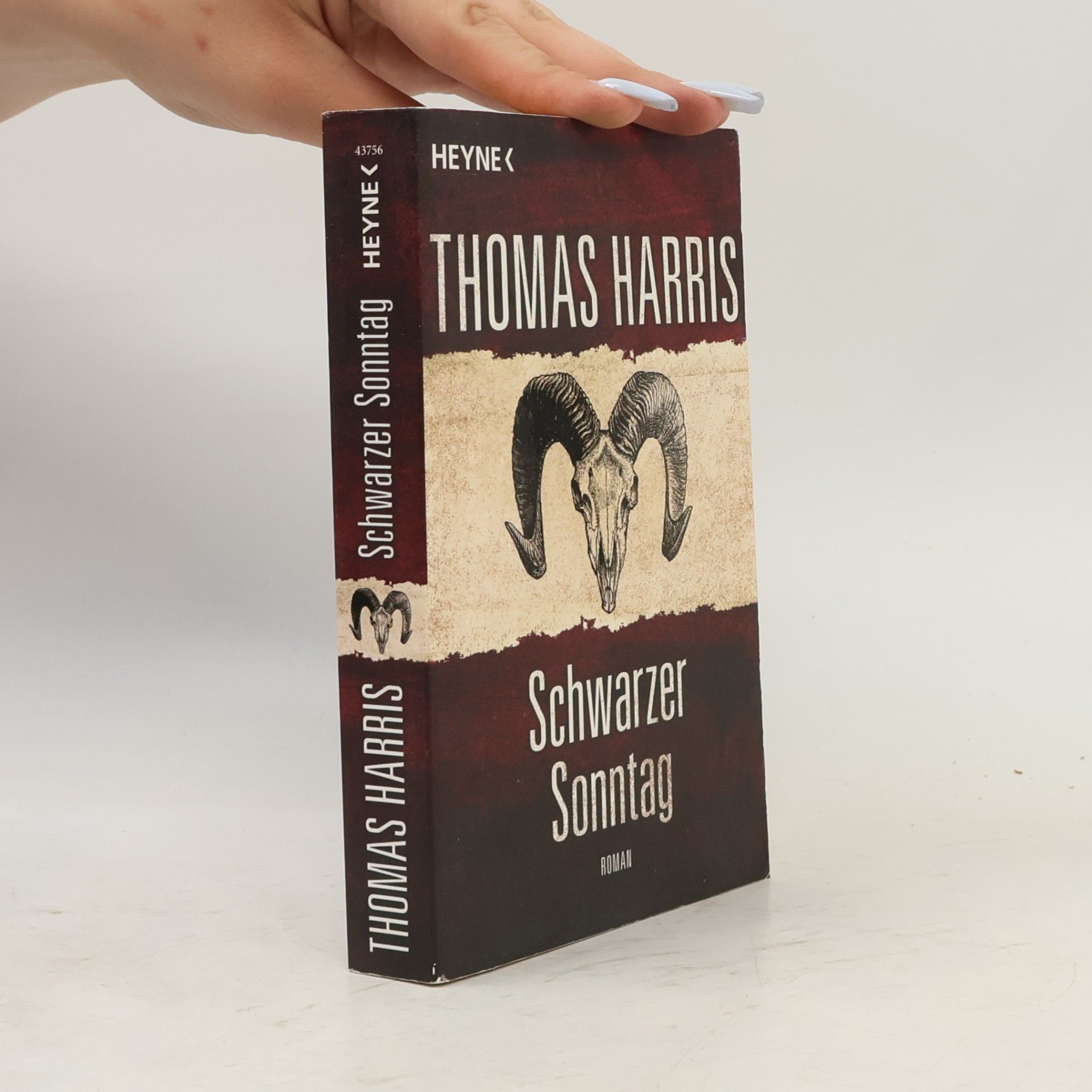 Thomas Harris Schwarzer Sonntag