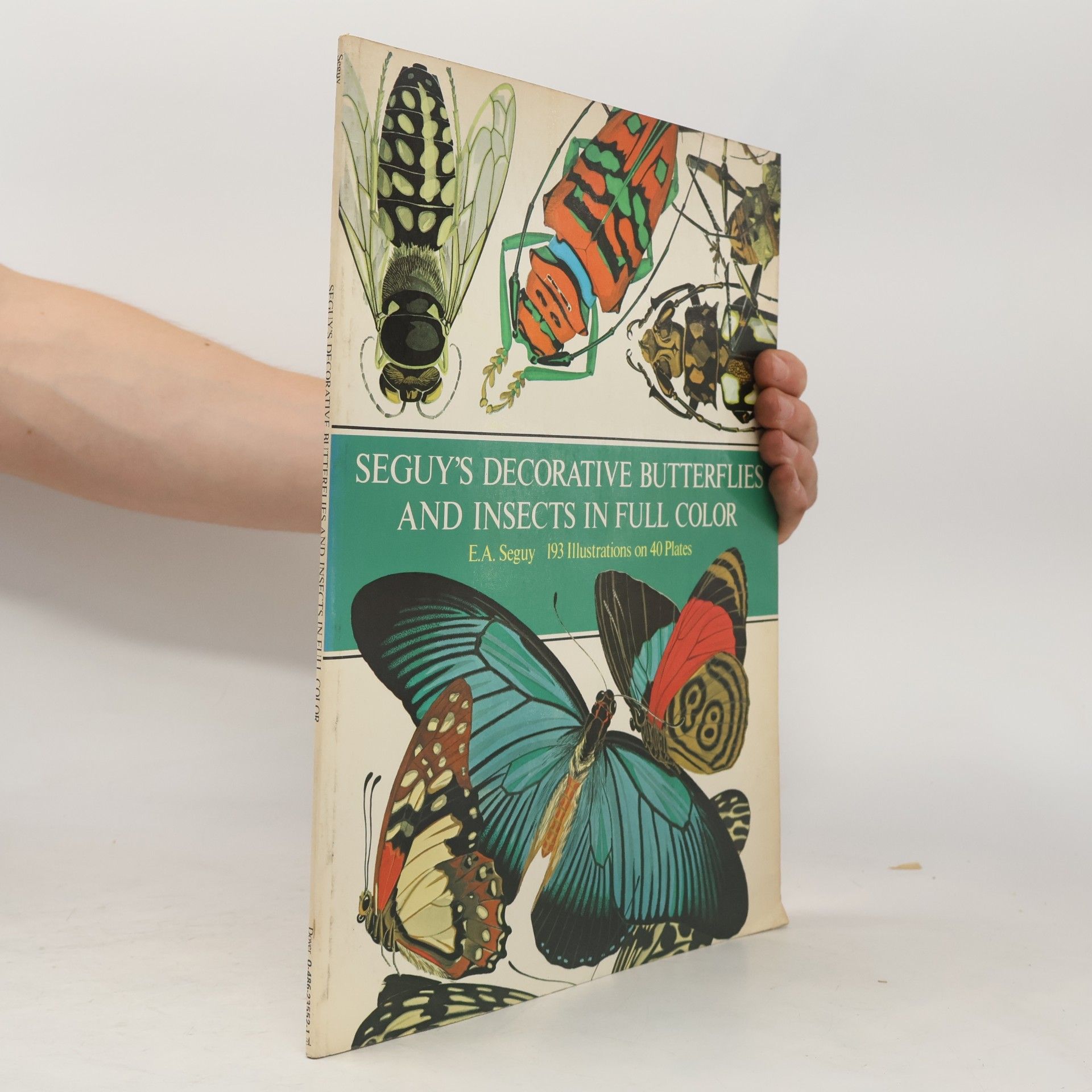 E. A. Séguy Seguy’s Decorative Butterflies and Insects in Full Color