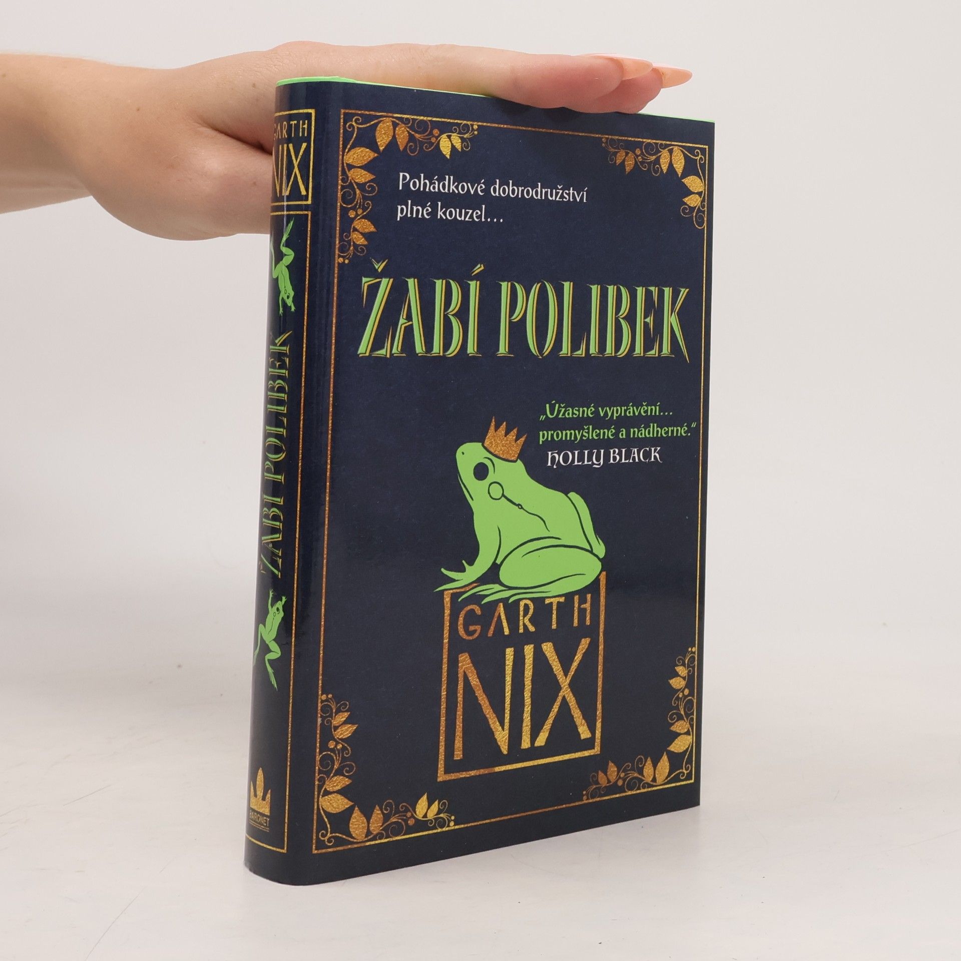 Garth Nix Žabí polibek