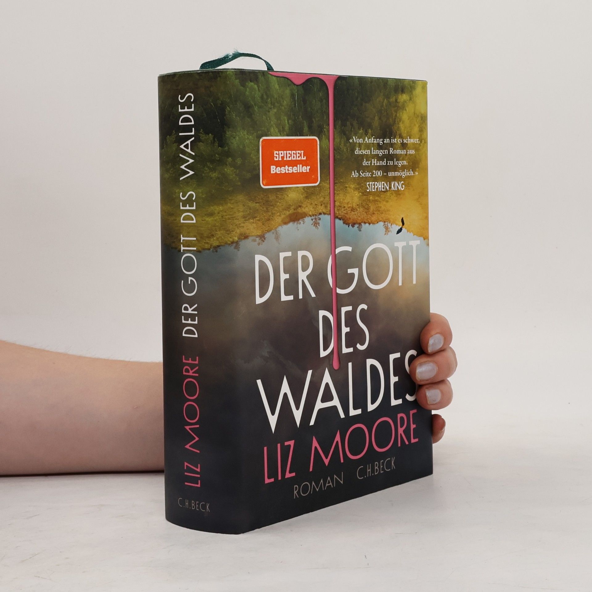 Liz Moore Der Gott des Waldes