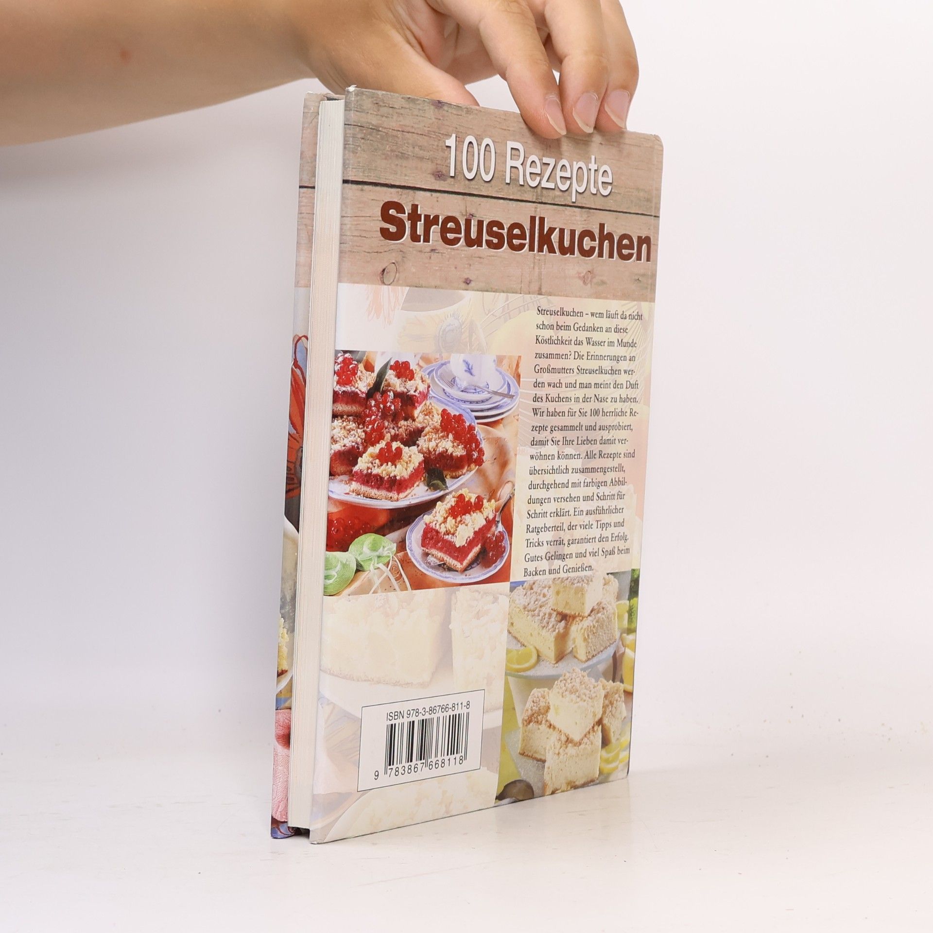 100 Rezepte Streuselkuchen