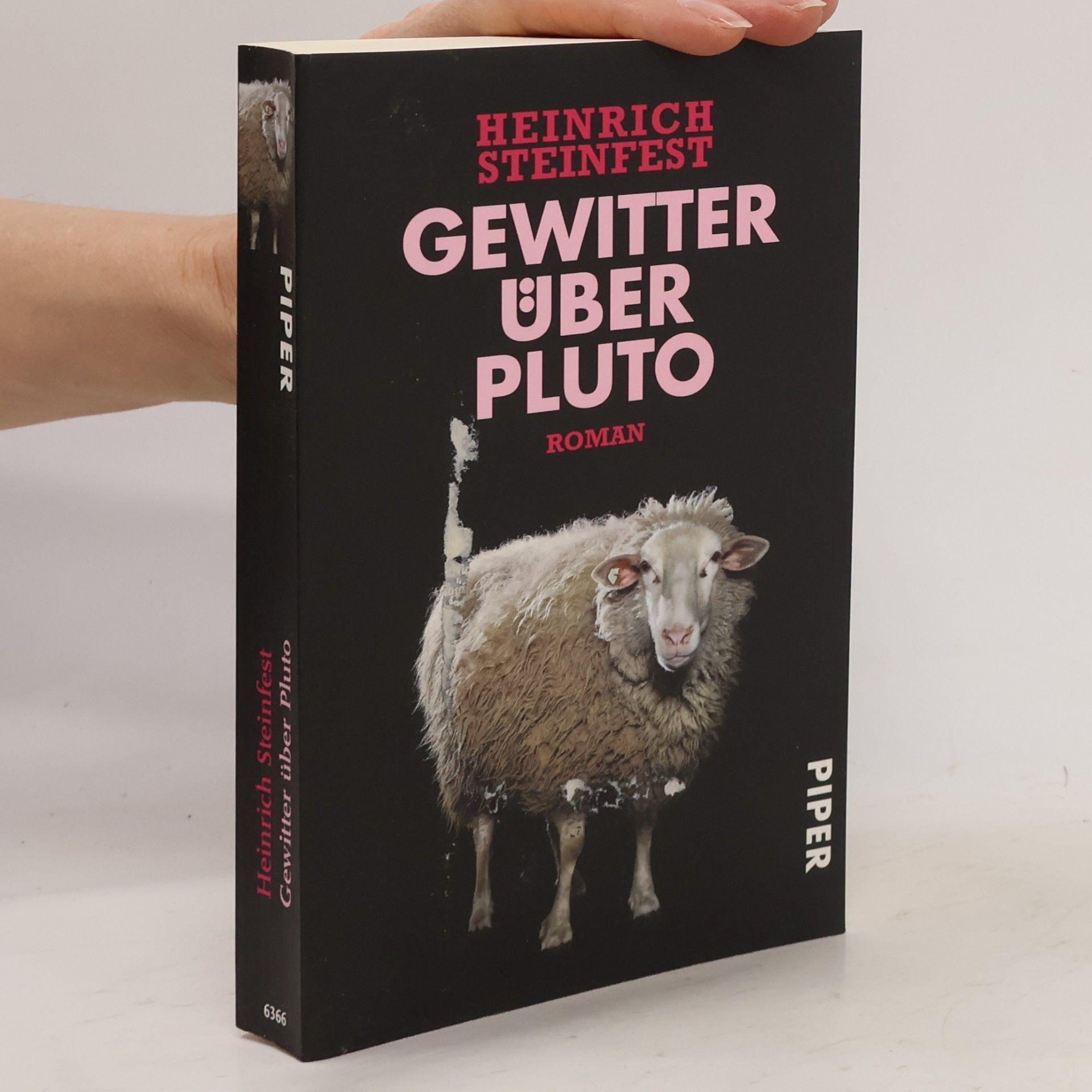 Heinrich Steinfest Gewitter über Pluto
