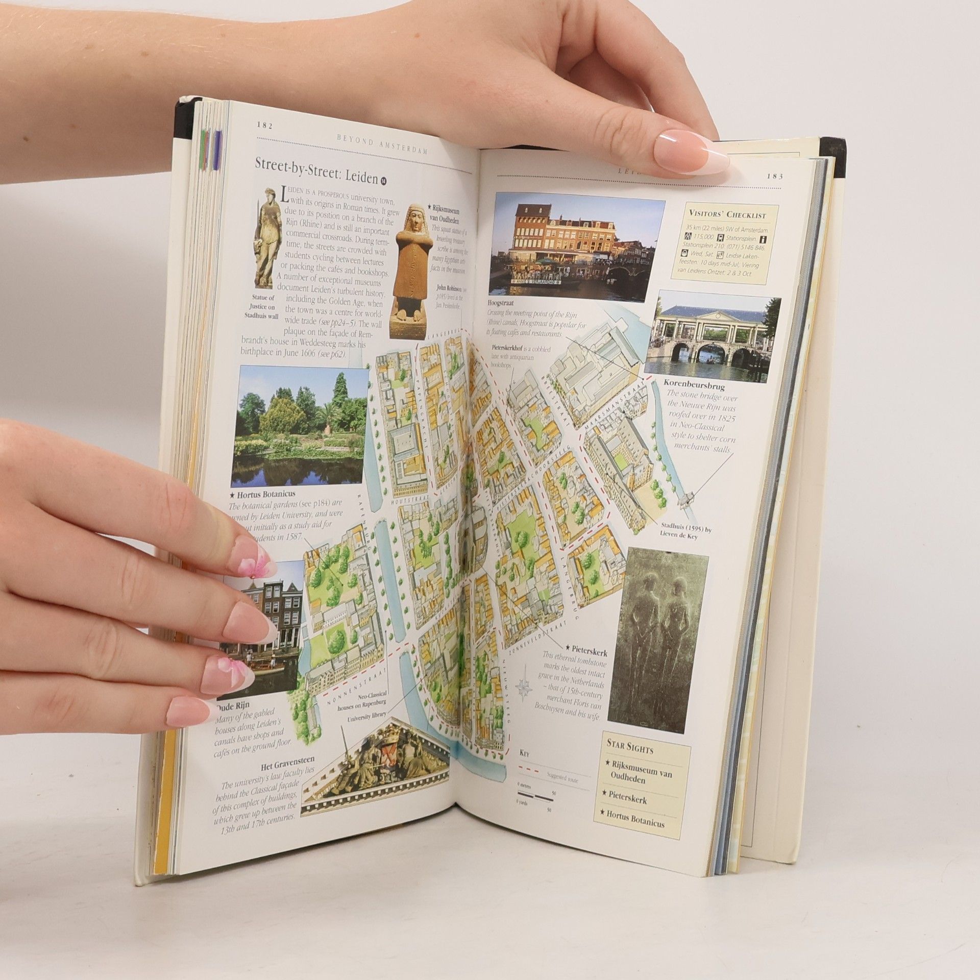 Robin Pascoe Amsterdam (Eyewitness Travel Guides)