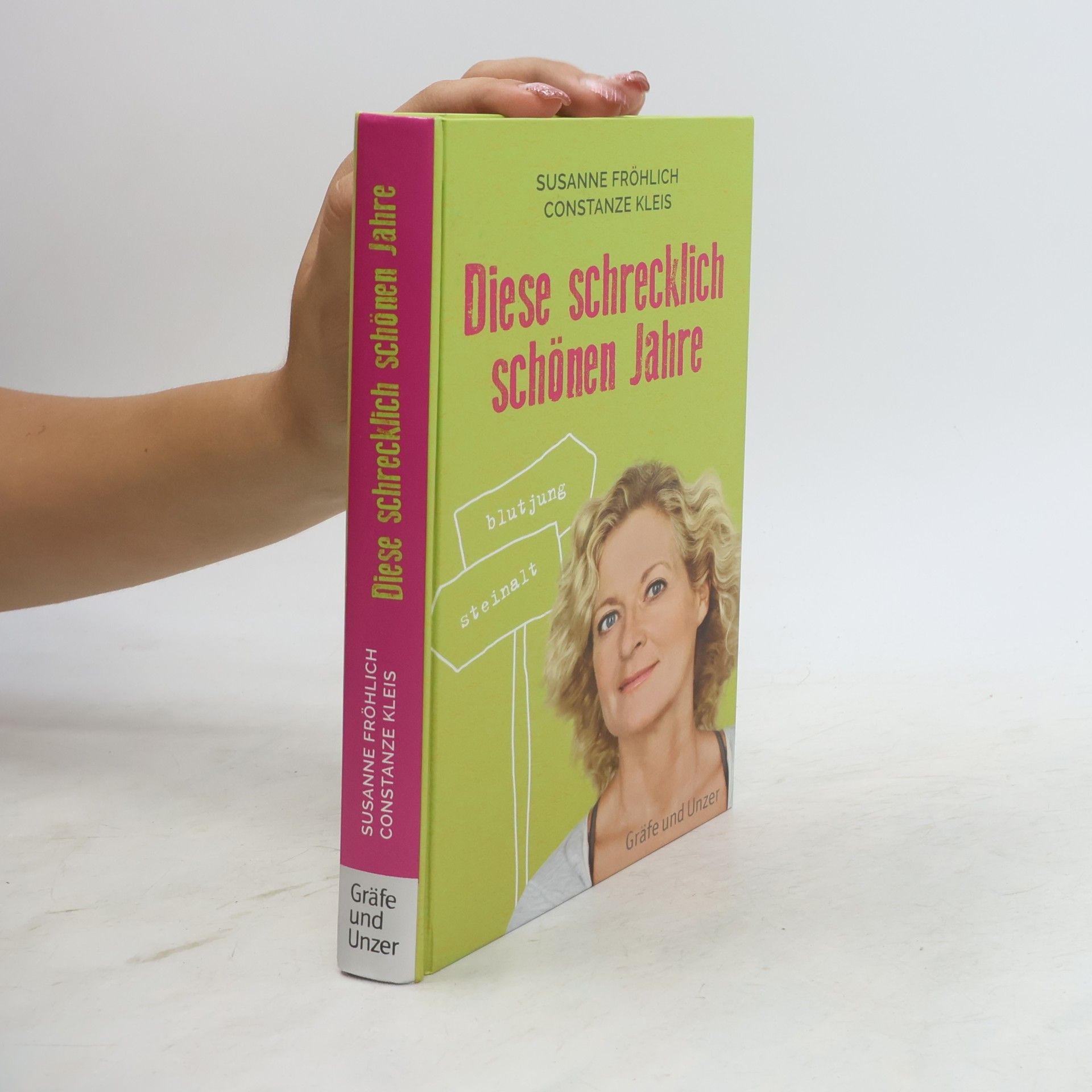 Susanne Fröhlich Diese schrecklich schönen Jahre