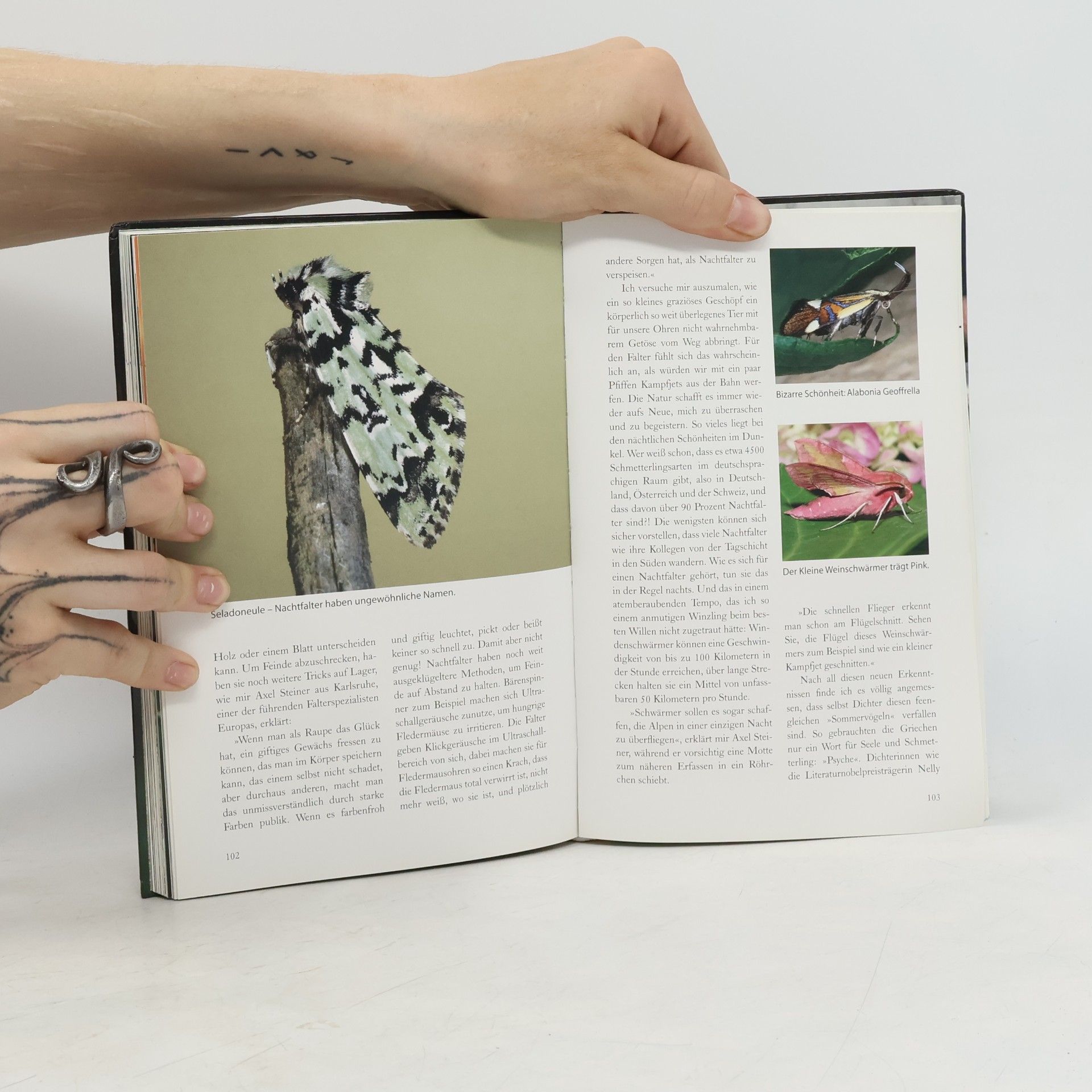 Tatjana Geßler Landesschau-Serie - 3: Tatjanas Tiergeschichten