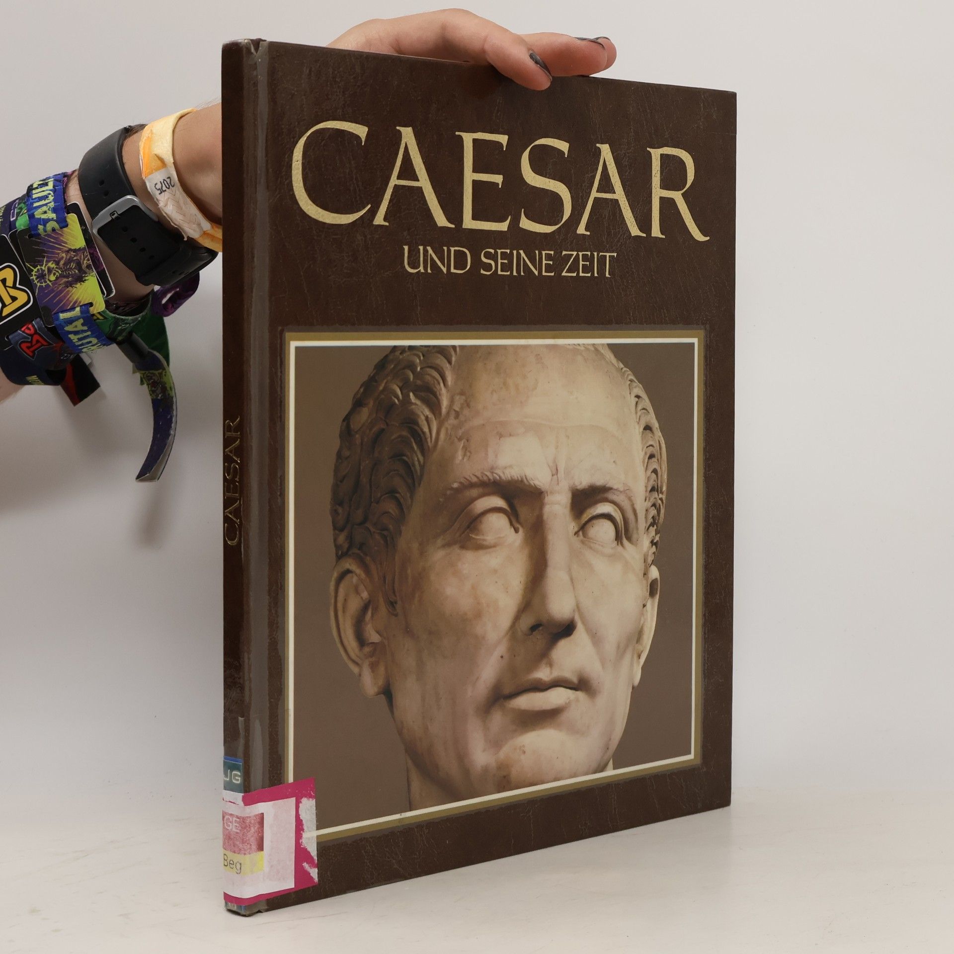Autorenkollektiv Caesar und seine Zeit