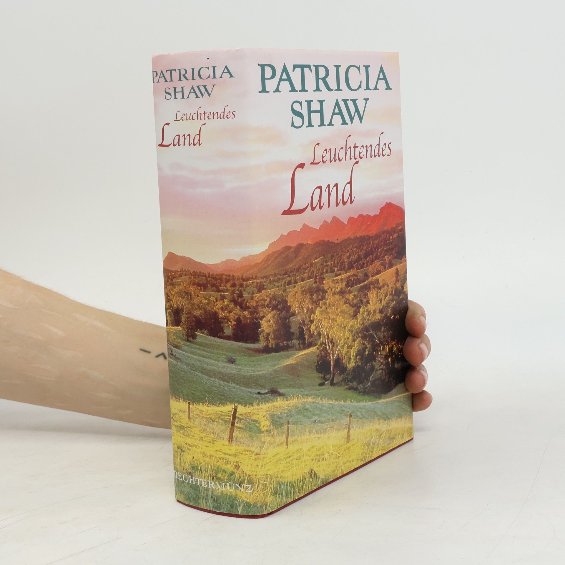 Patricia Shaw Leuchtendes Land