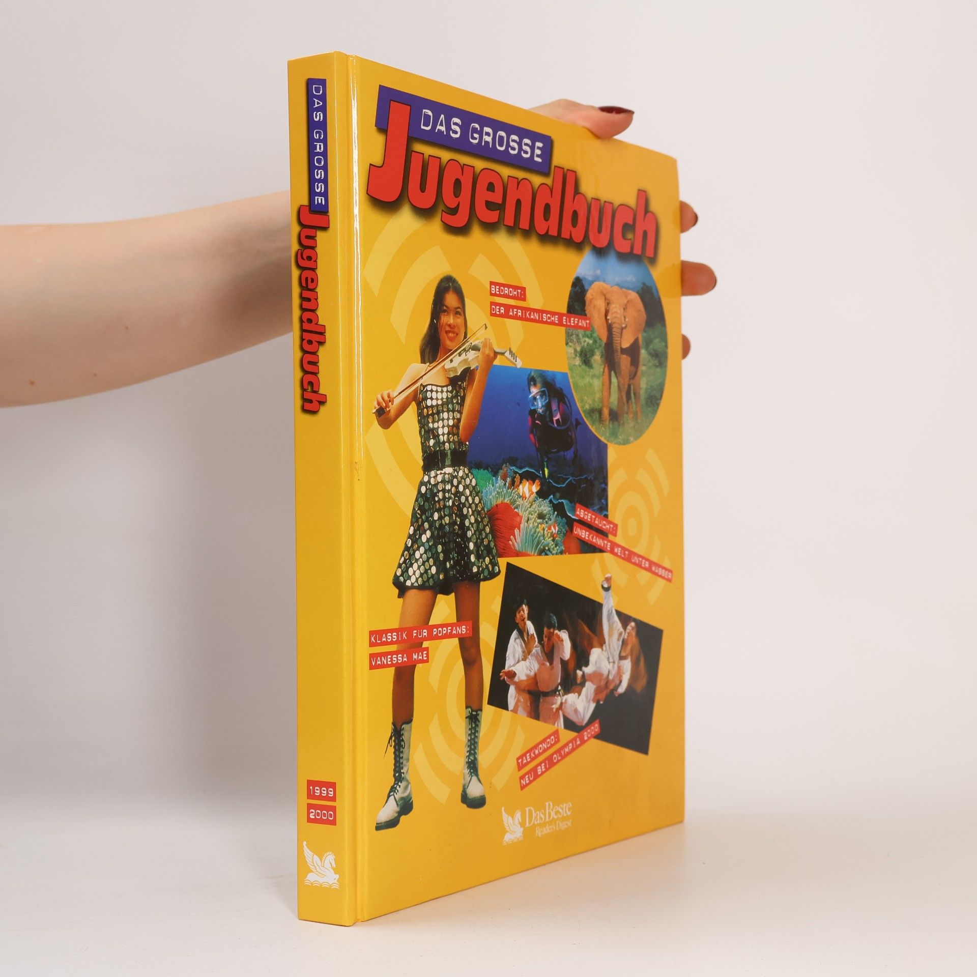 Various authors Das grosse Jugendbuch