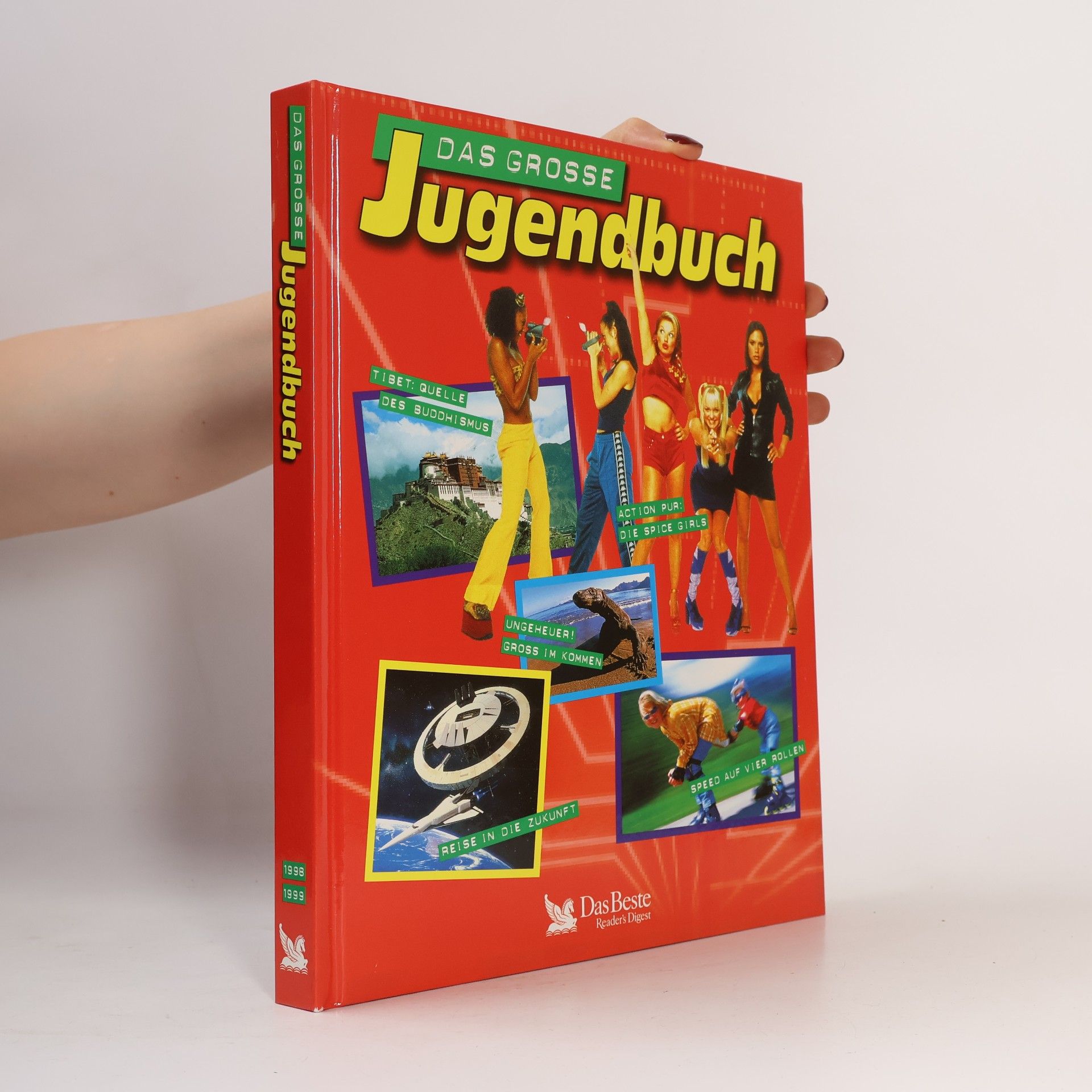 Autorenkollektiv Das grosse Jugendbuch