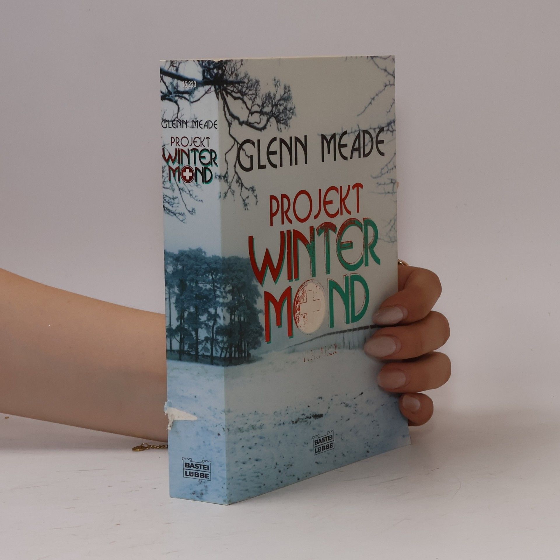 Glenn Meade Projekt winter mind