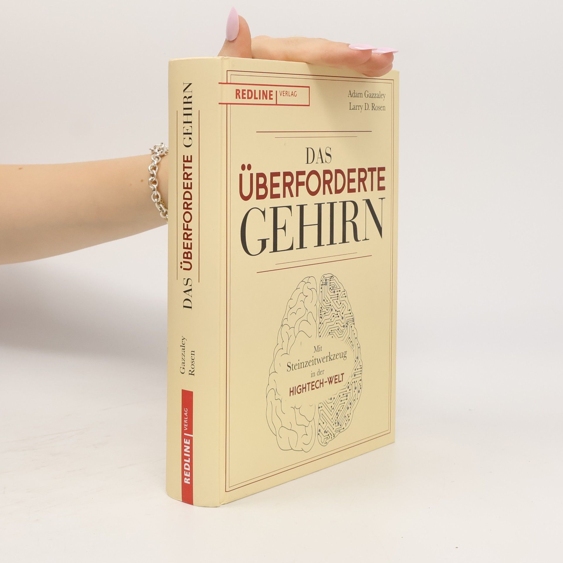 Das überforderte Gehirn