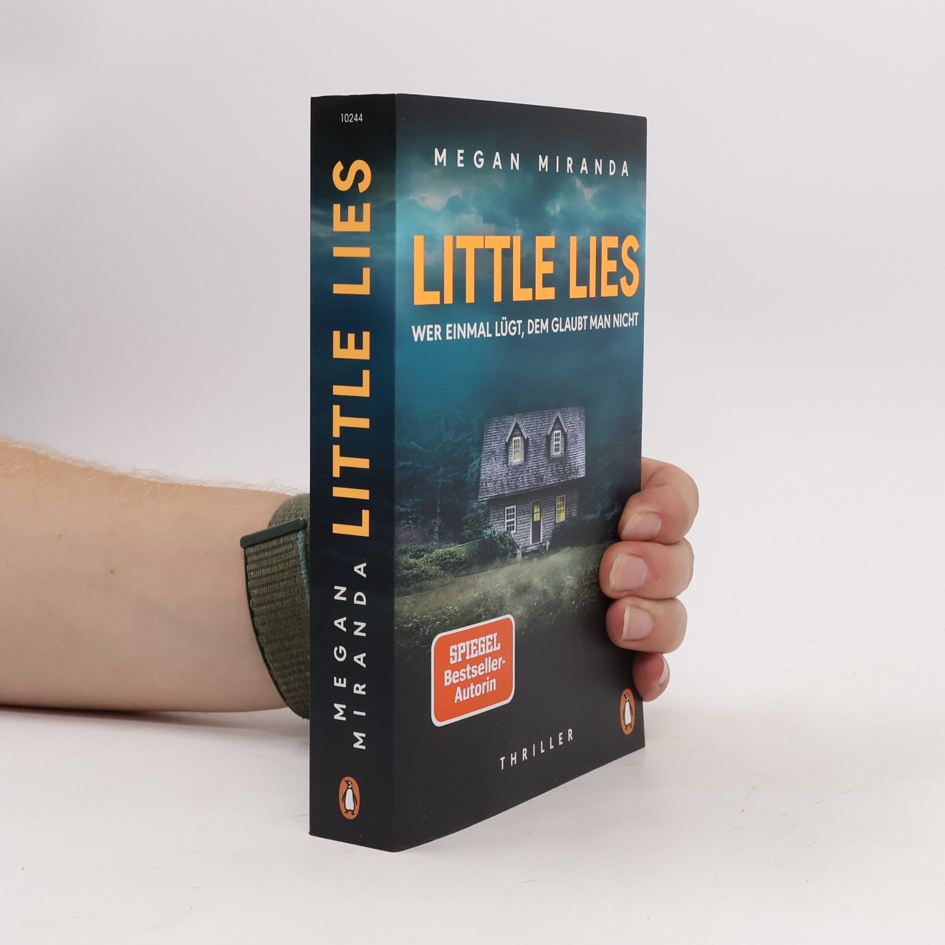 Megan Miranda LITTLE LIES – Wer einmal lügt, dem glaubt man nicht