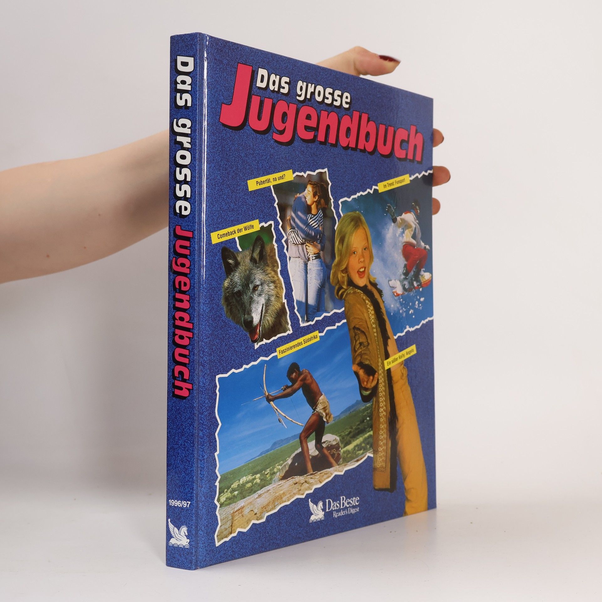 Various authors Das grosse Jugendbuch. 37. Folge