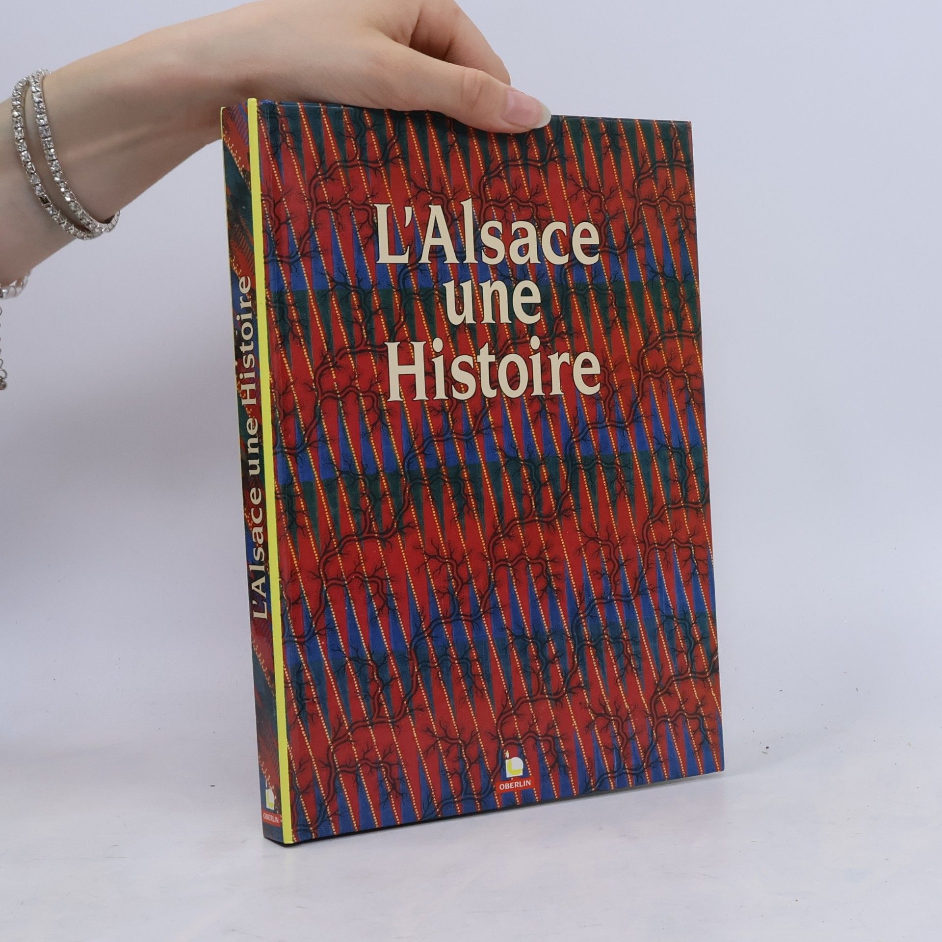Bernard Vogler L'Alsace une Histoire