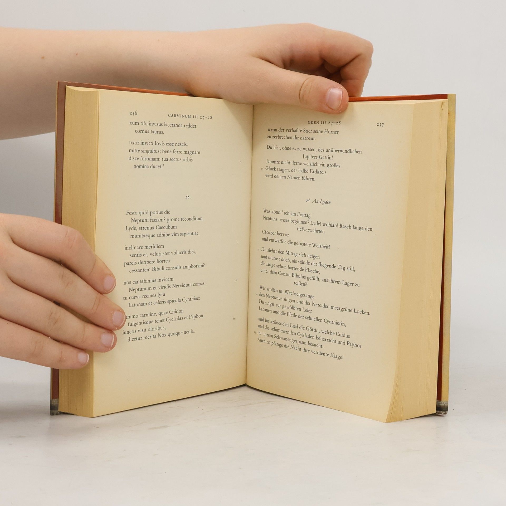 Autorenkollektiv Glanz der Bescheidenheit