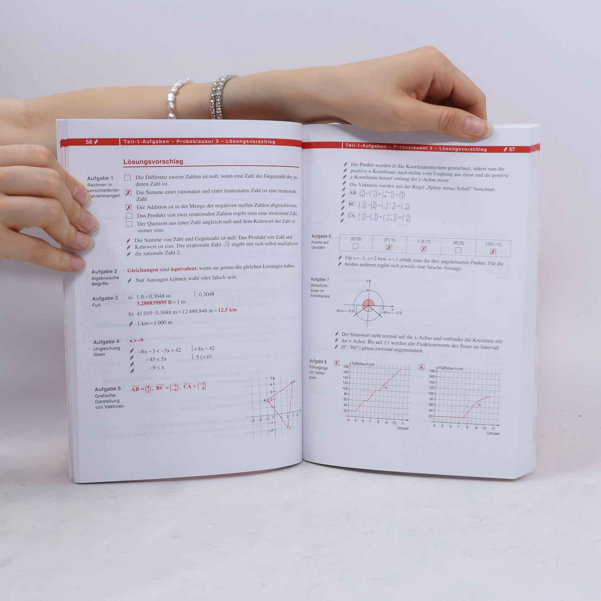 Collectif d'auteurs Zentral-Matura. Mathematik