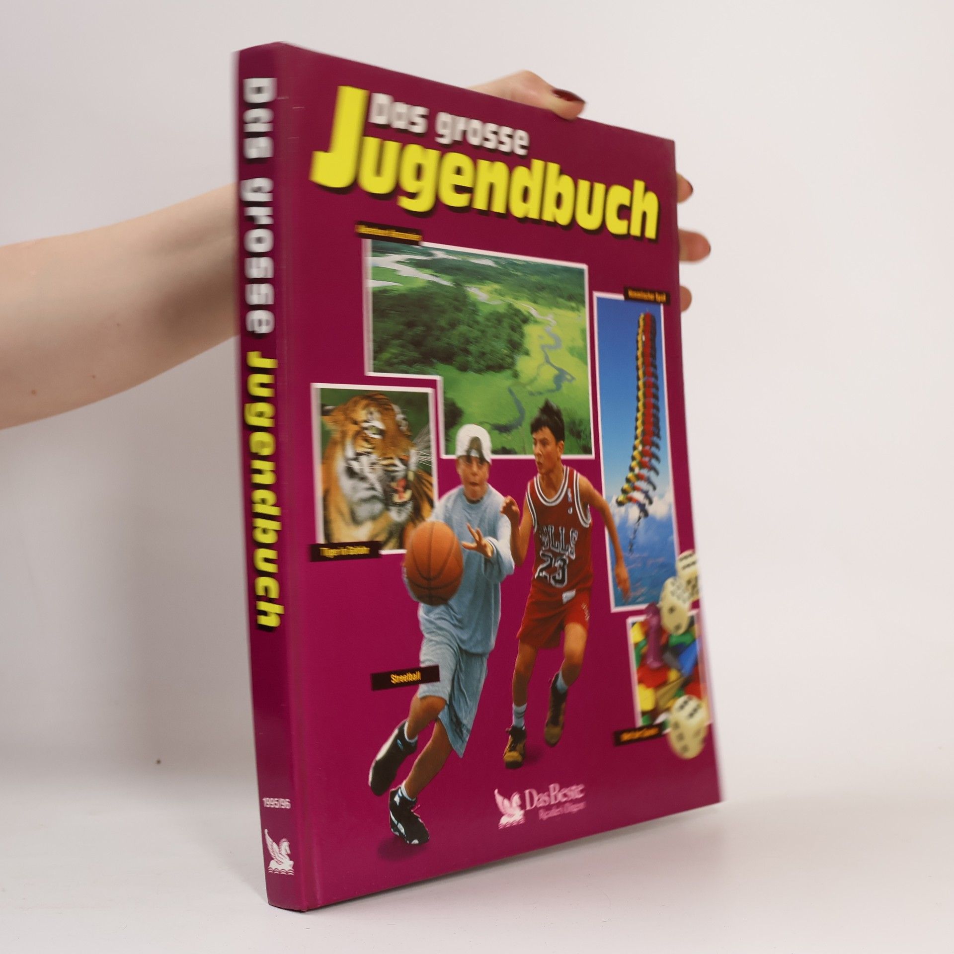 Collectif d'auteurs Das grosse Jugendbuch