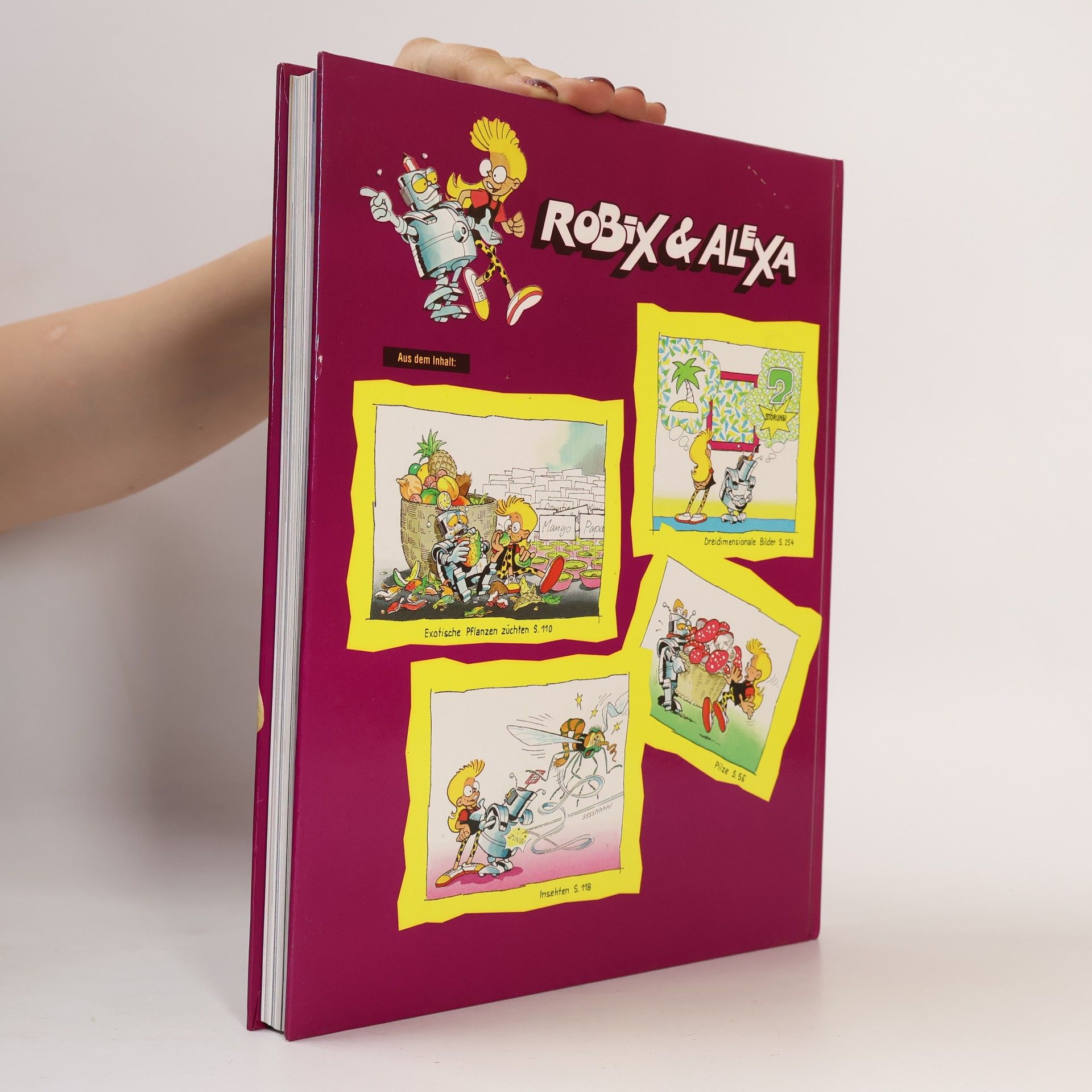 Collectif d'auteurs Das grosse Jugendbuch