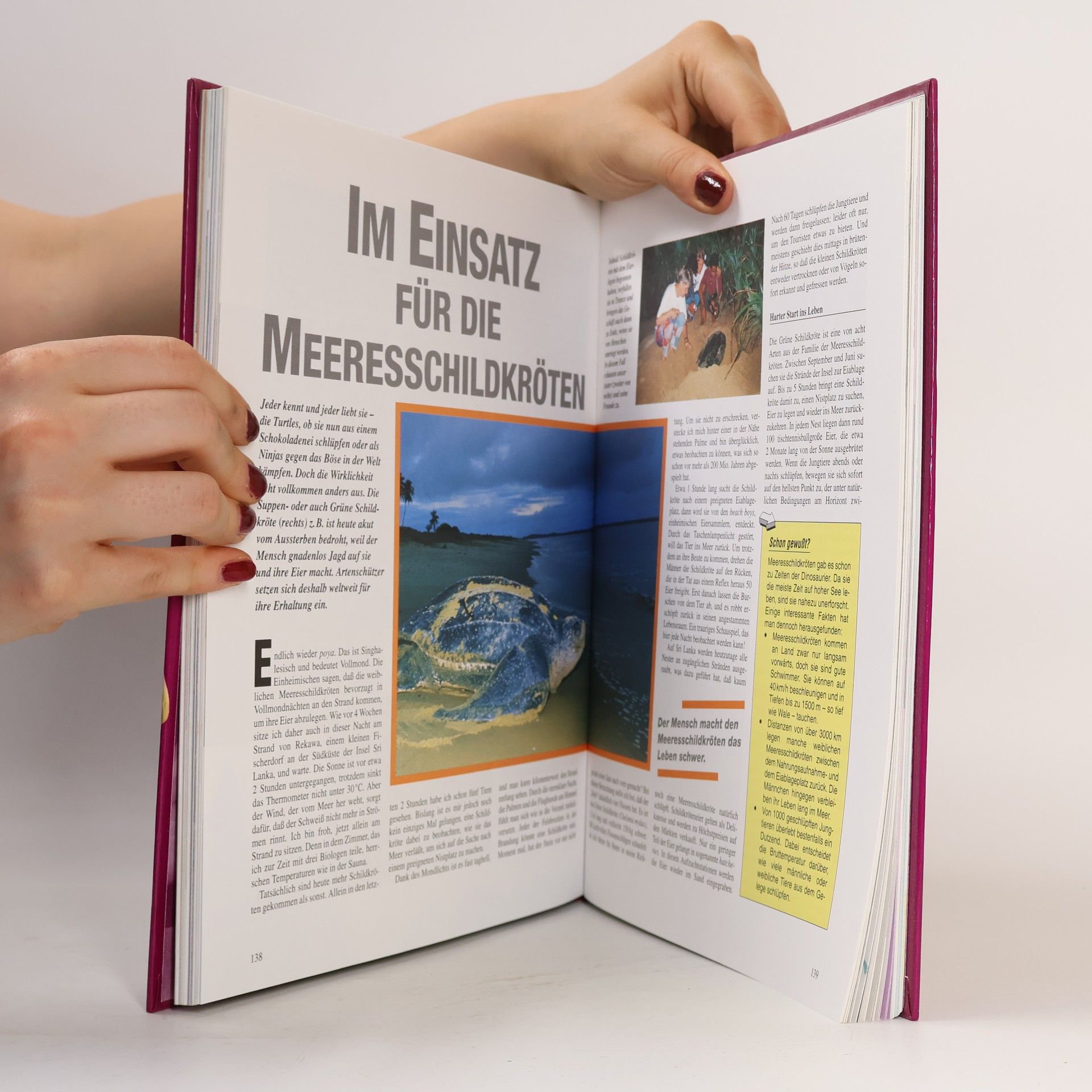 Collectif d'auteurs Das grosse Jugendbuch