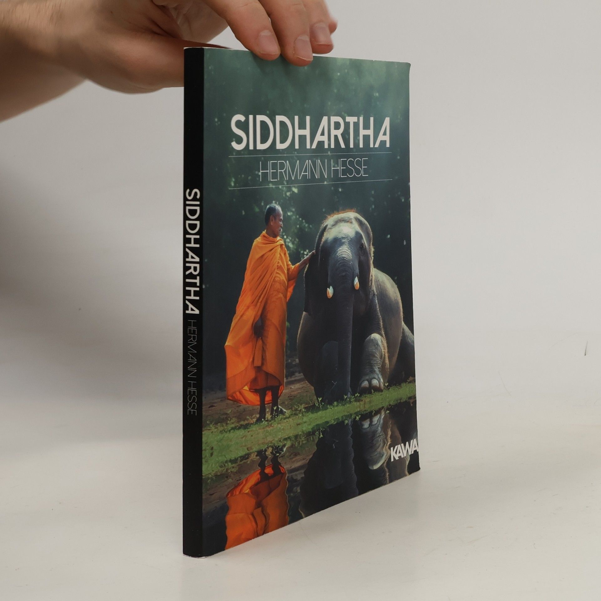 Hermann Hesse Siddhartha