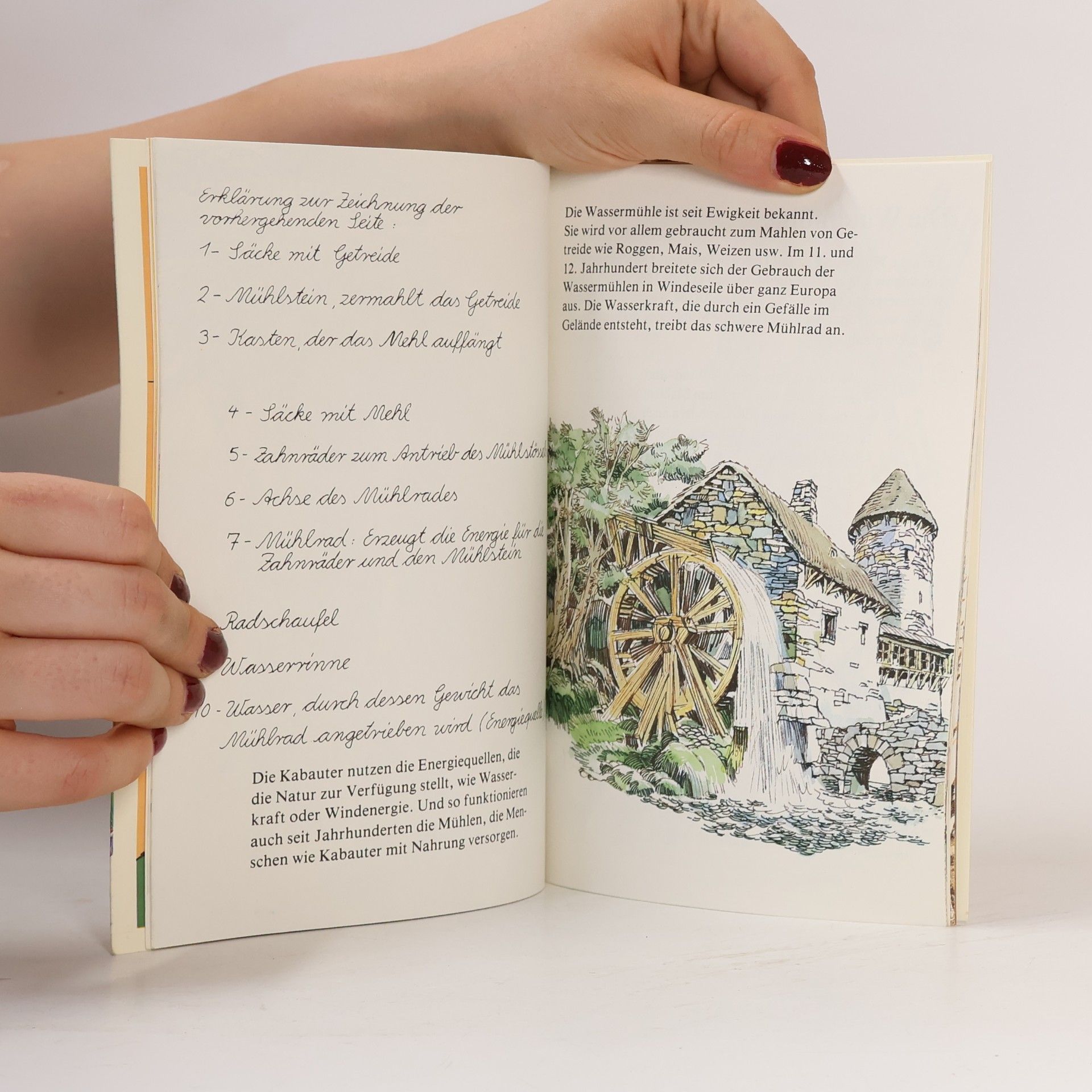 Auteurscollectief Das geheime Buch der Kabauter 2