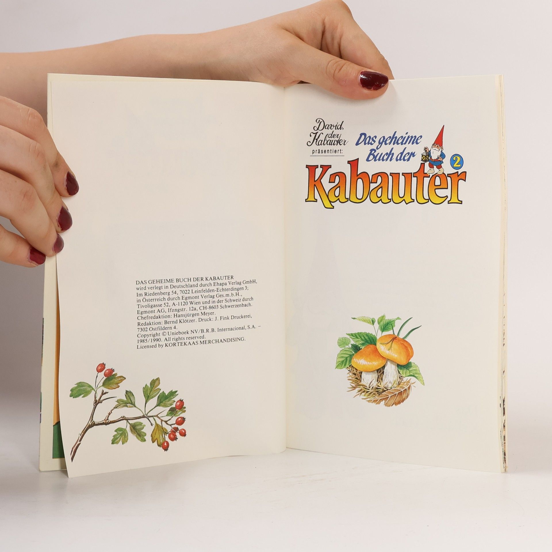 Auteurscollectief Das geheime Buch der Kabauter 2