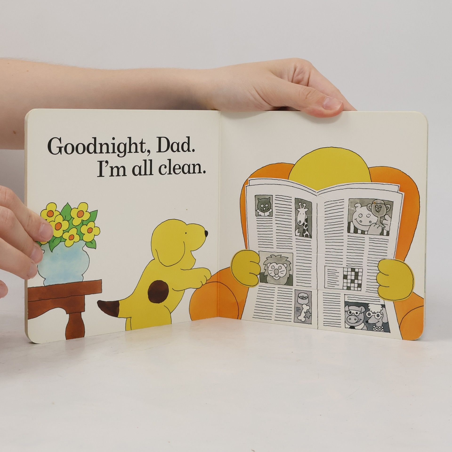 Eric Hill Spot Says Goodnight
