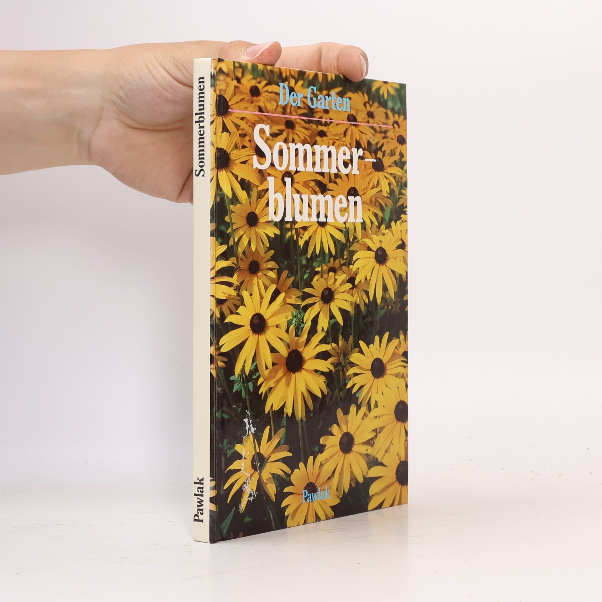 Ute York Sommerblumen