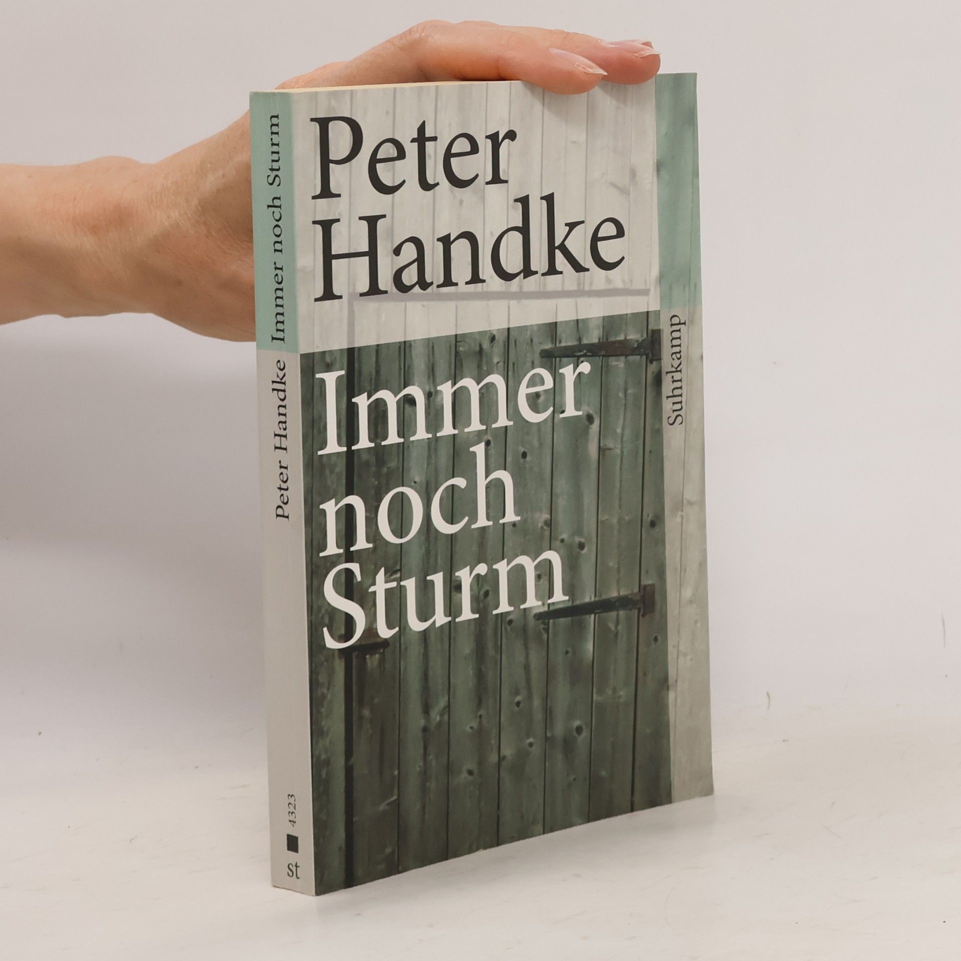 Peter Handke Immer noch Sturm