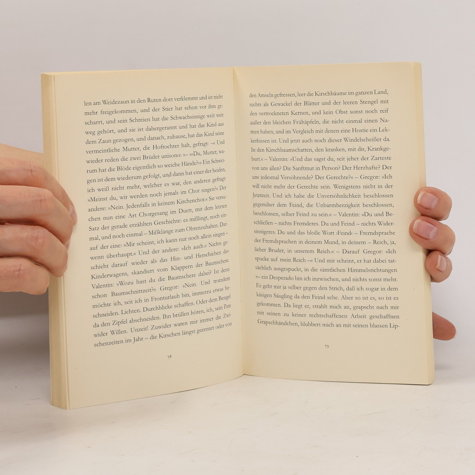 Peter Handke Immer noch Sturm