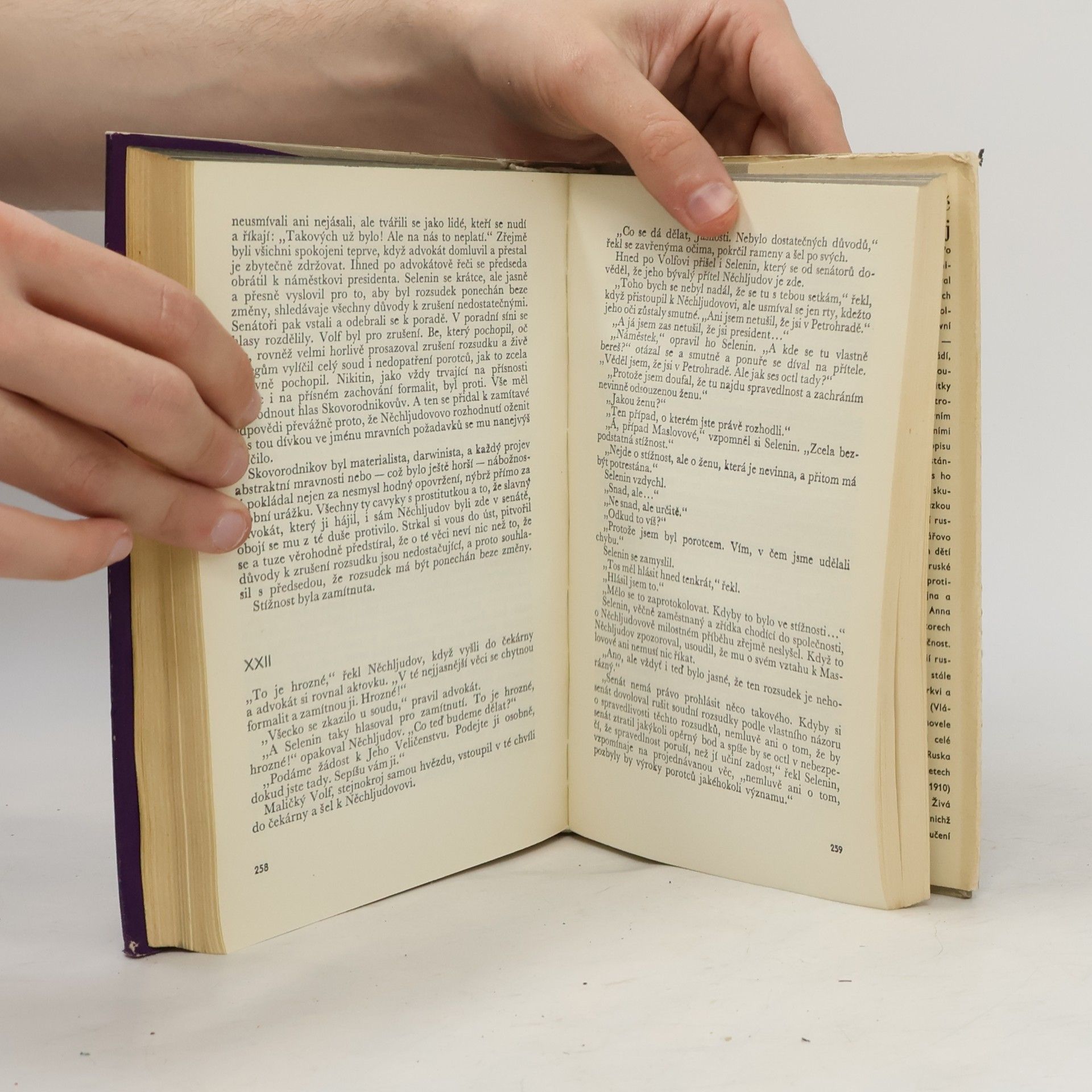 Lew Nikolajewitsch Tolstoi Vzkříšení