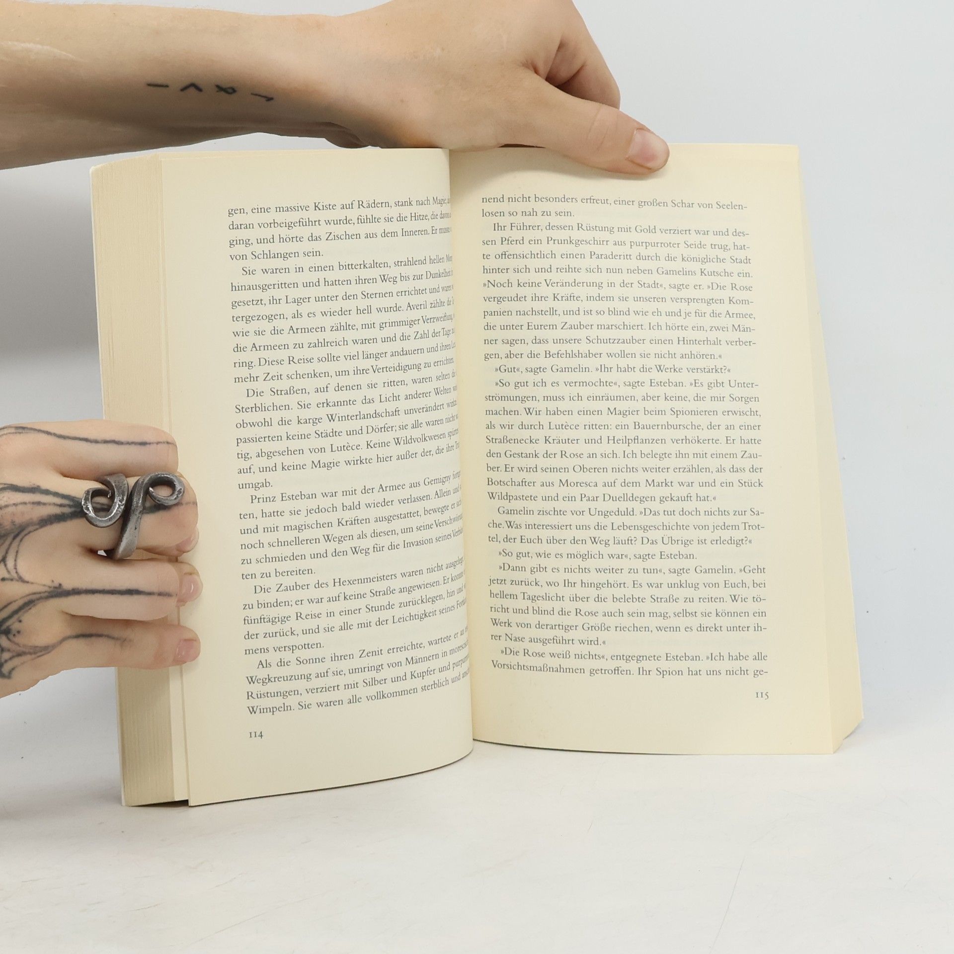 Kathleen Bryan Die Tochter des Lichts. Das magische Land III