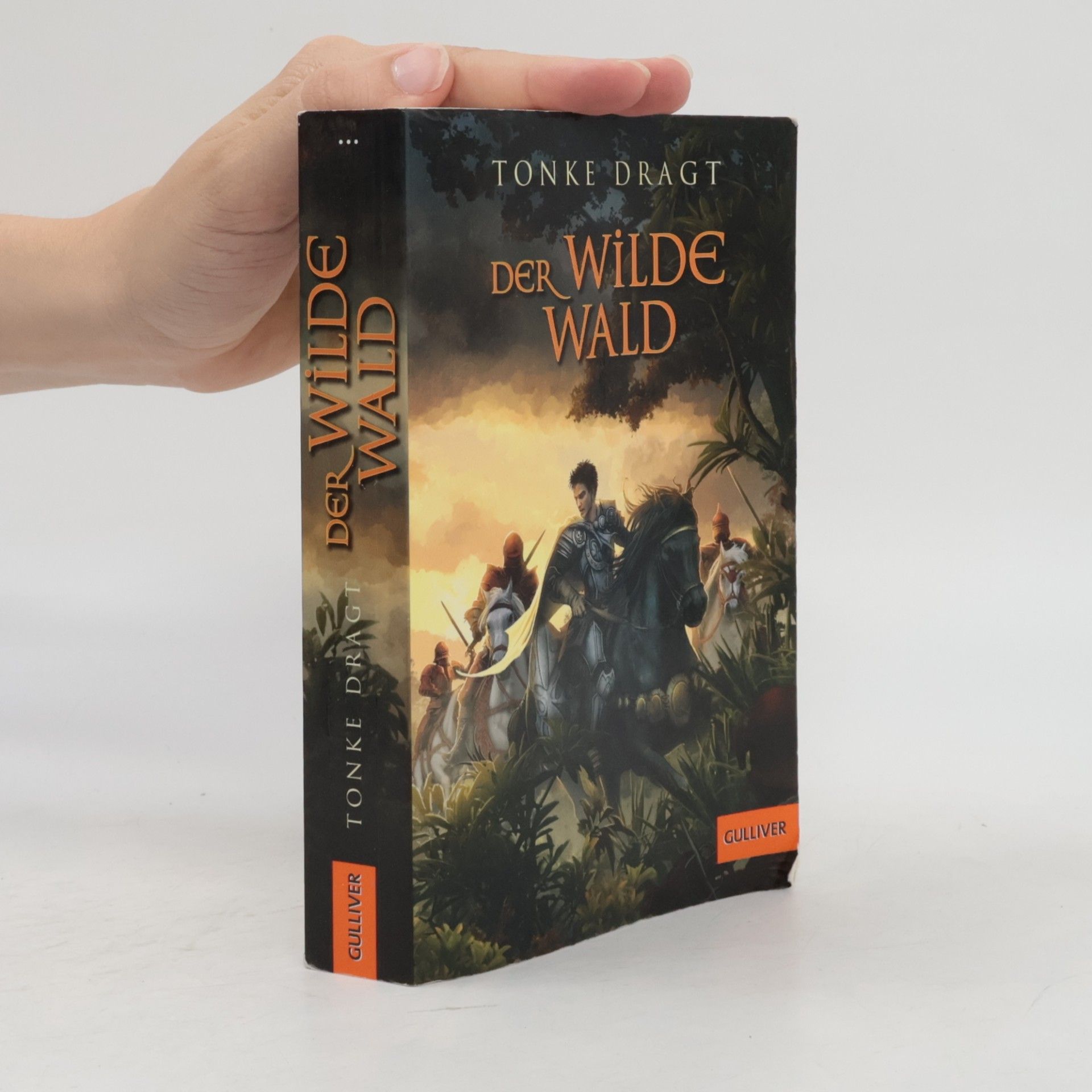 Tonke Dragt Der Wilde Wald