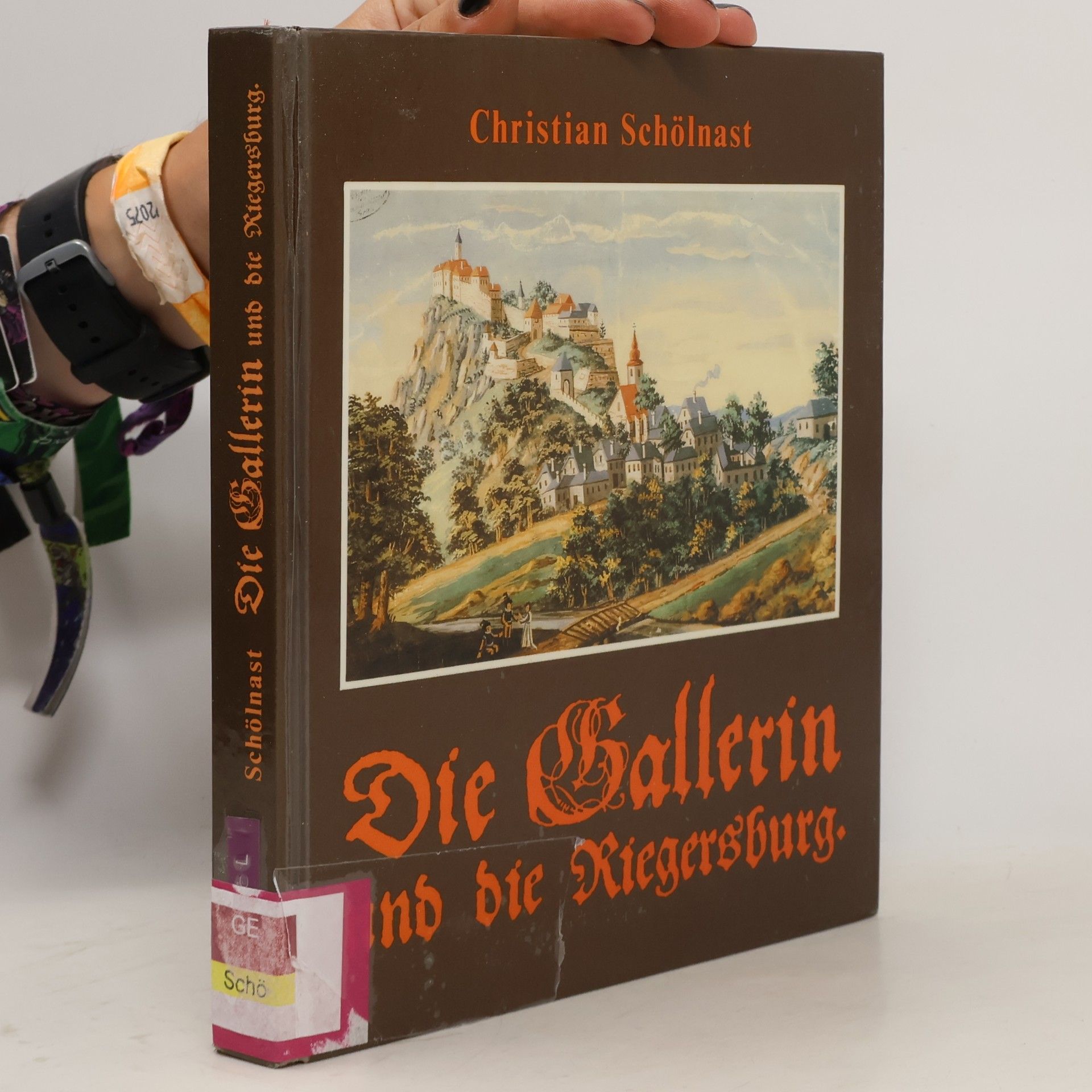 Die Gallerin und die Riegersburg