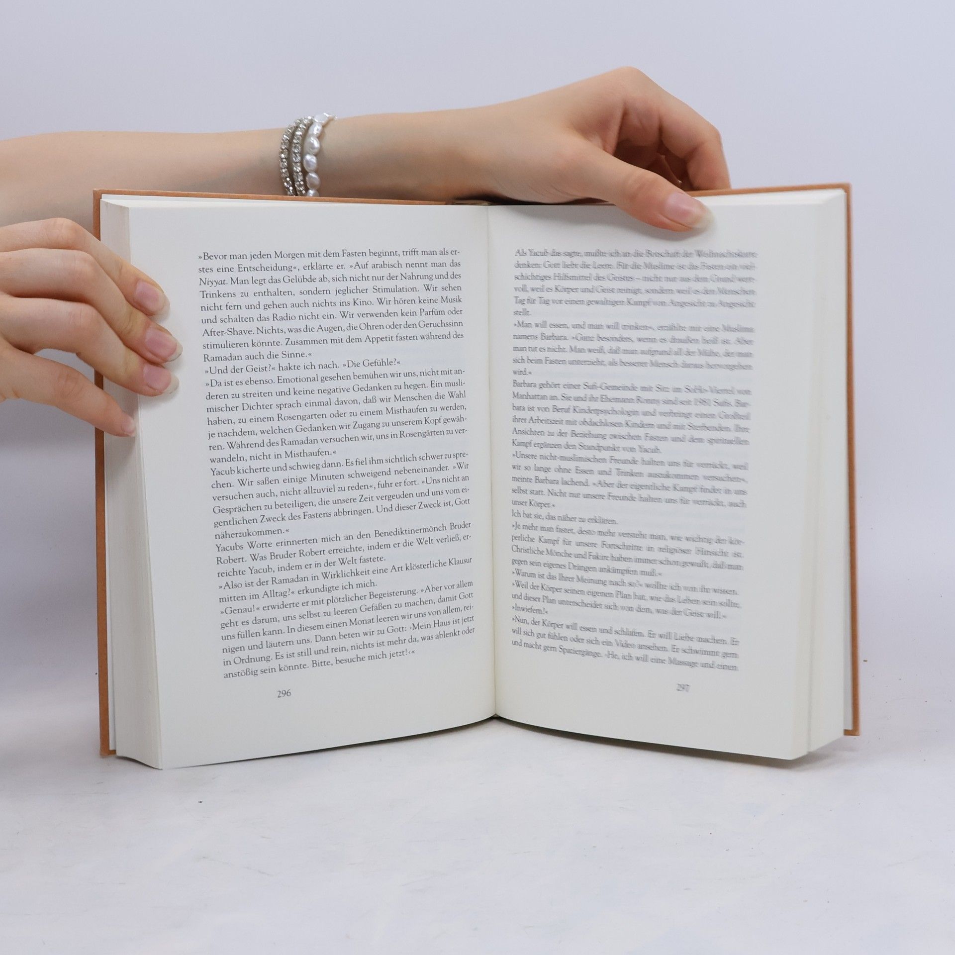 Harry R. Moody Sinnkrisen in der Mitte des Lebens