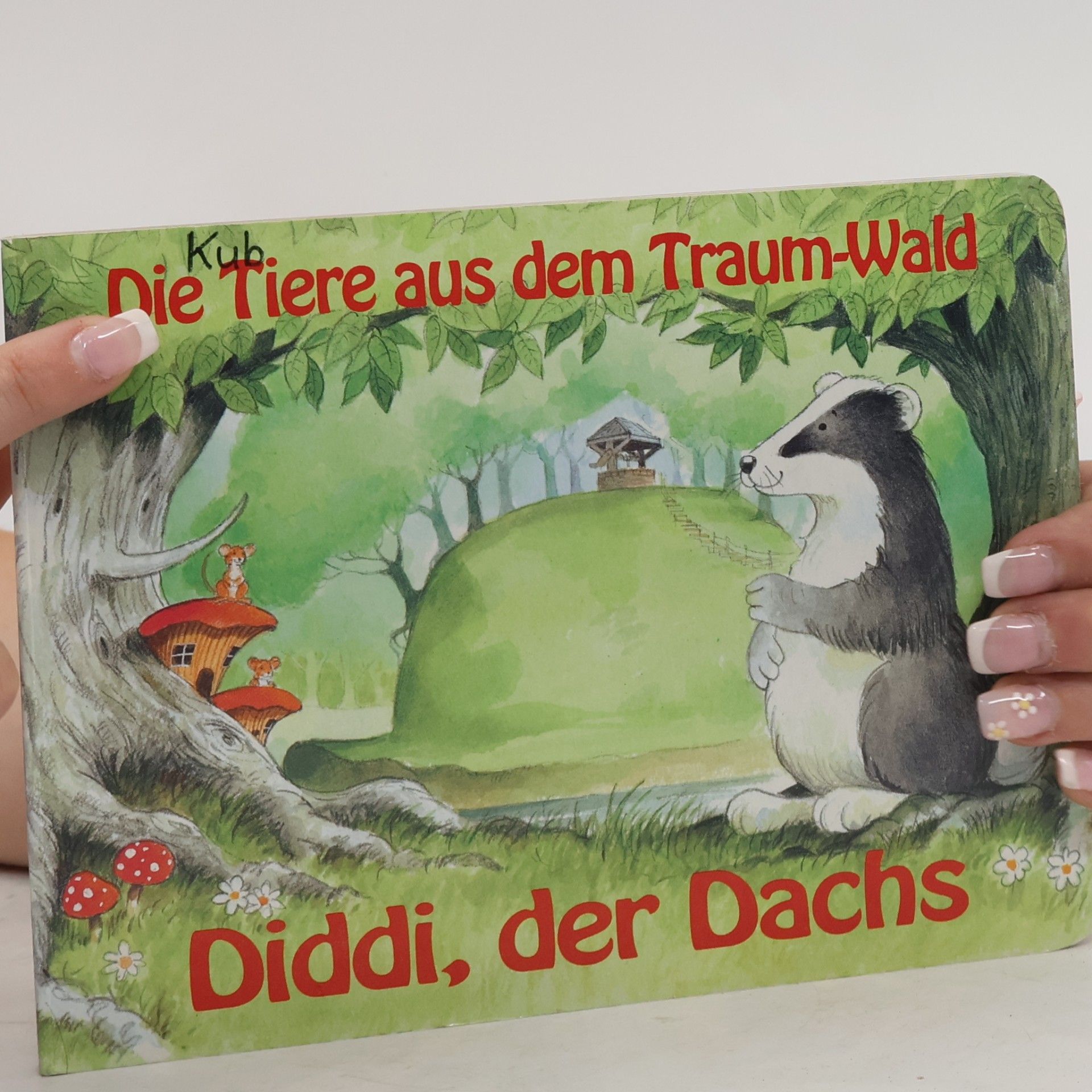 Jason Hook Die Tiere aus dem Traum-Wald. Diddi, der Dachs