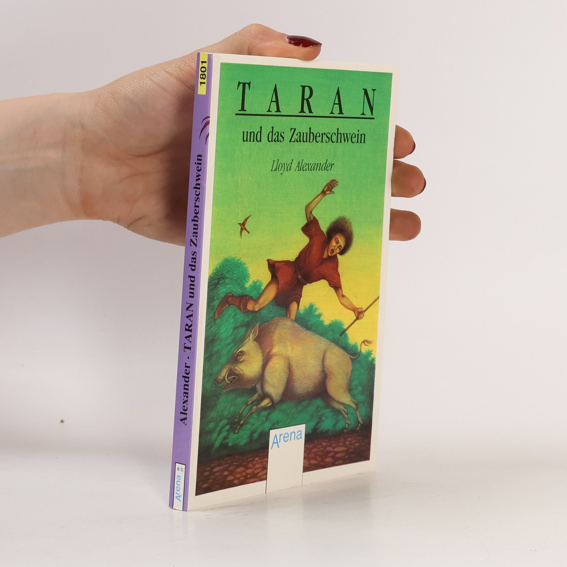 Lloyd Alexander Taran und das Zauberschwein