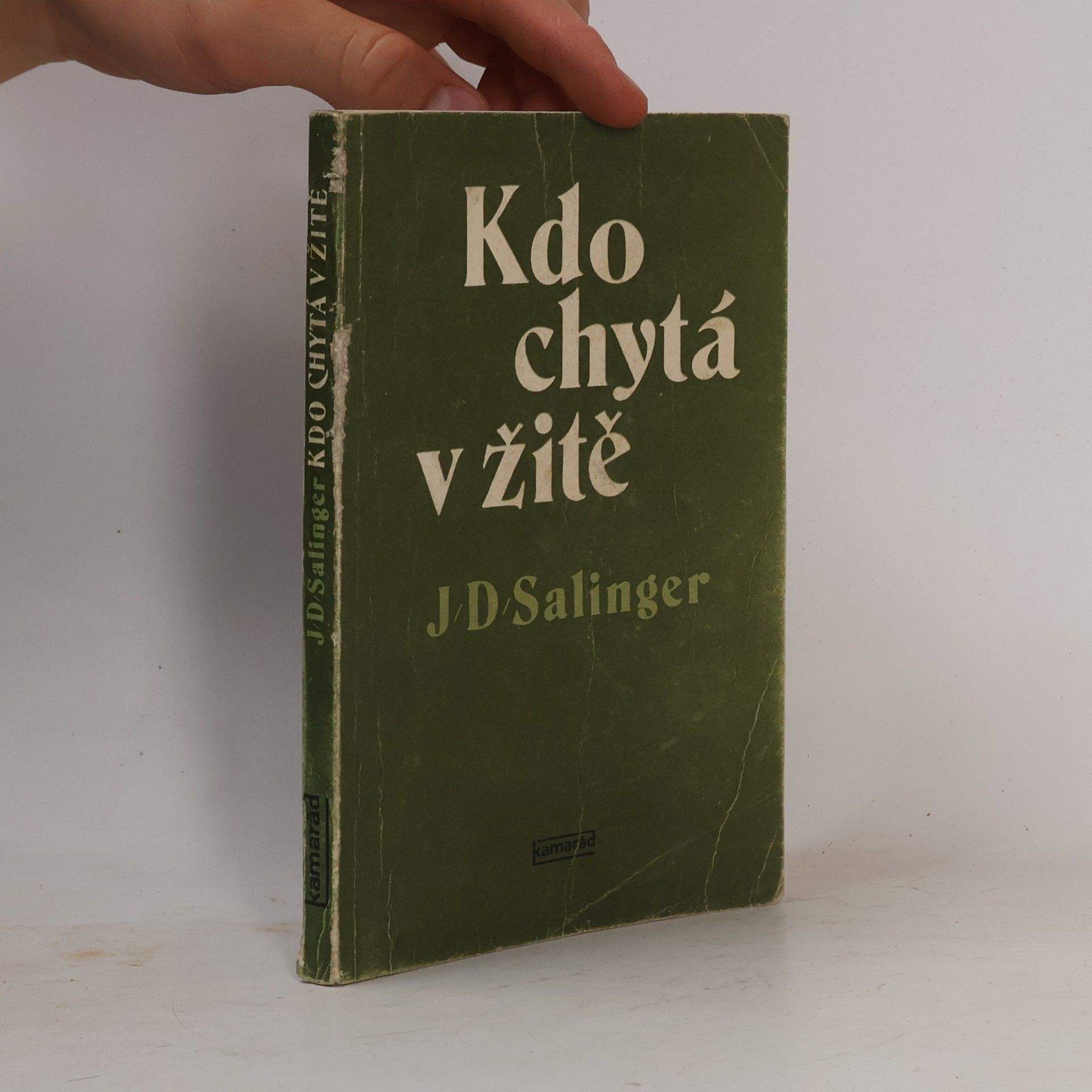 J. D. Salinger Kdo chytá v žitě