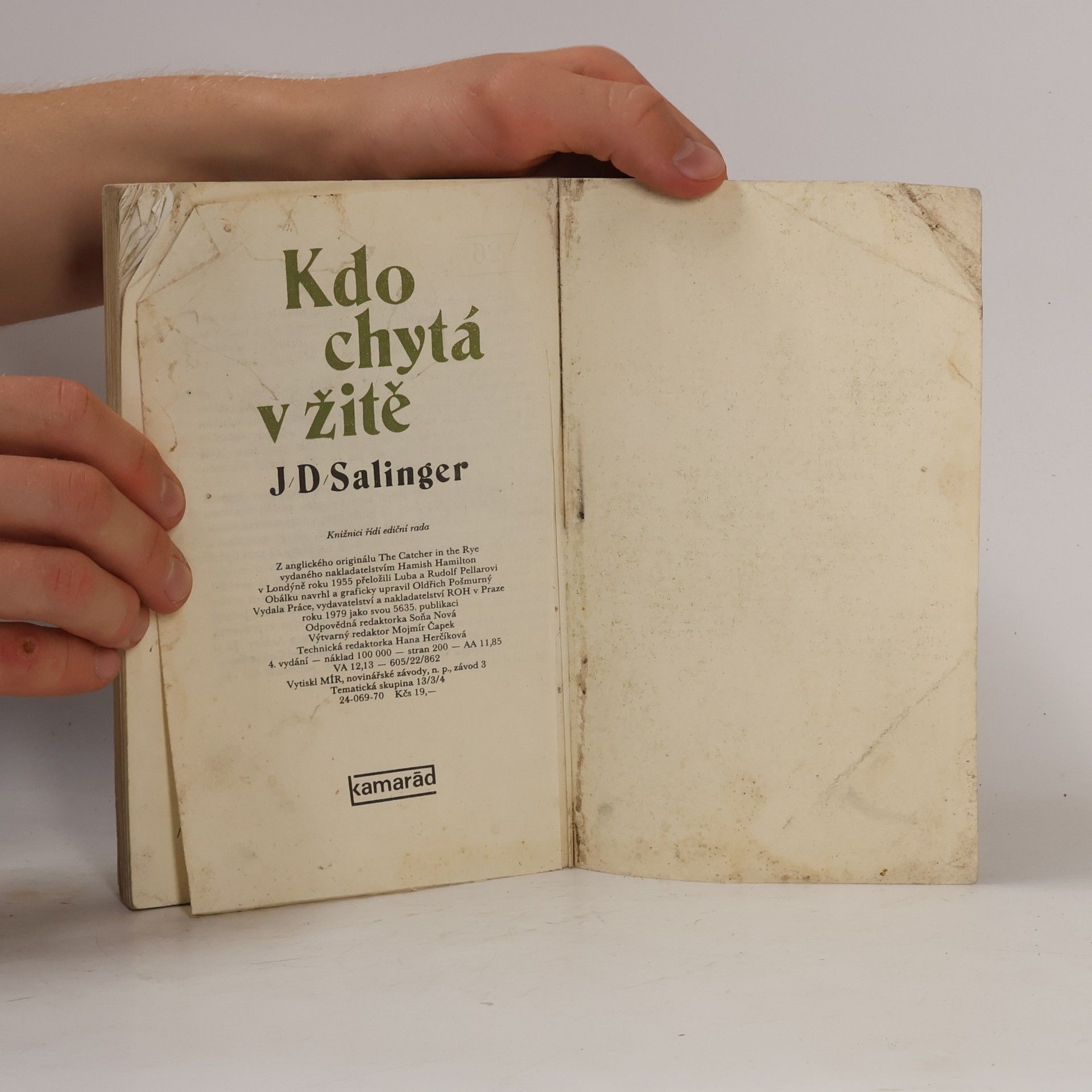 J. D. Salinger Kdo chytá v žitě