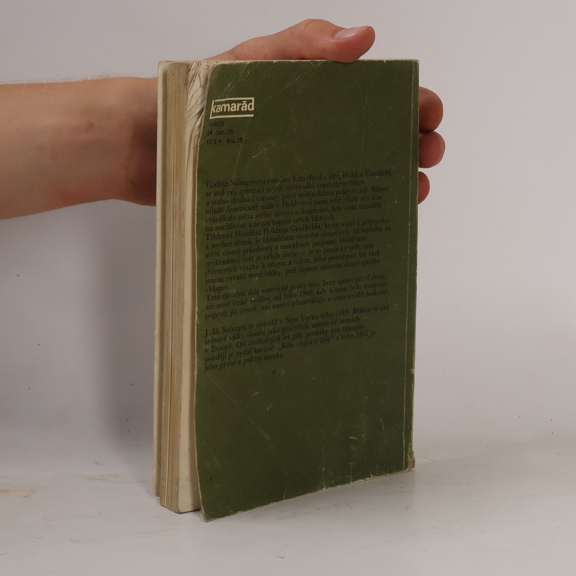 J. D. Salinger Kdo chytá v žitě