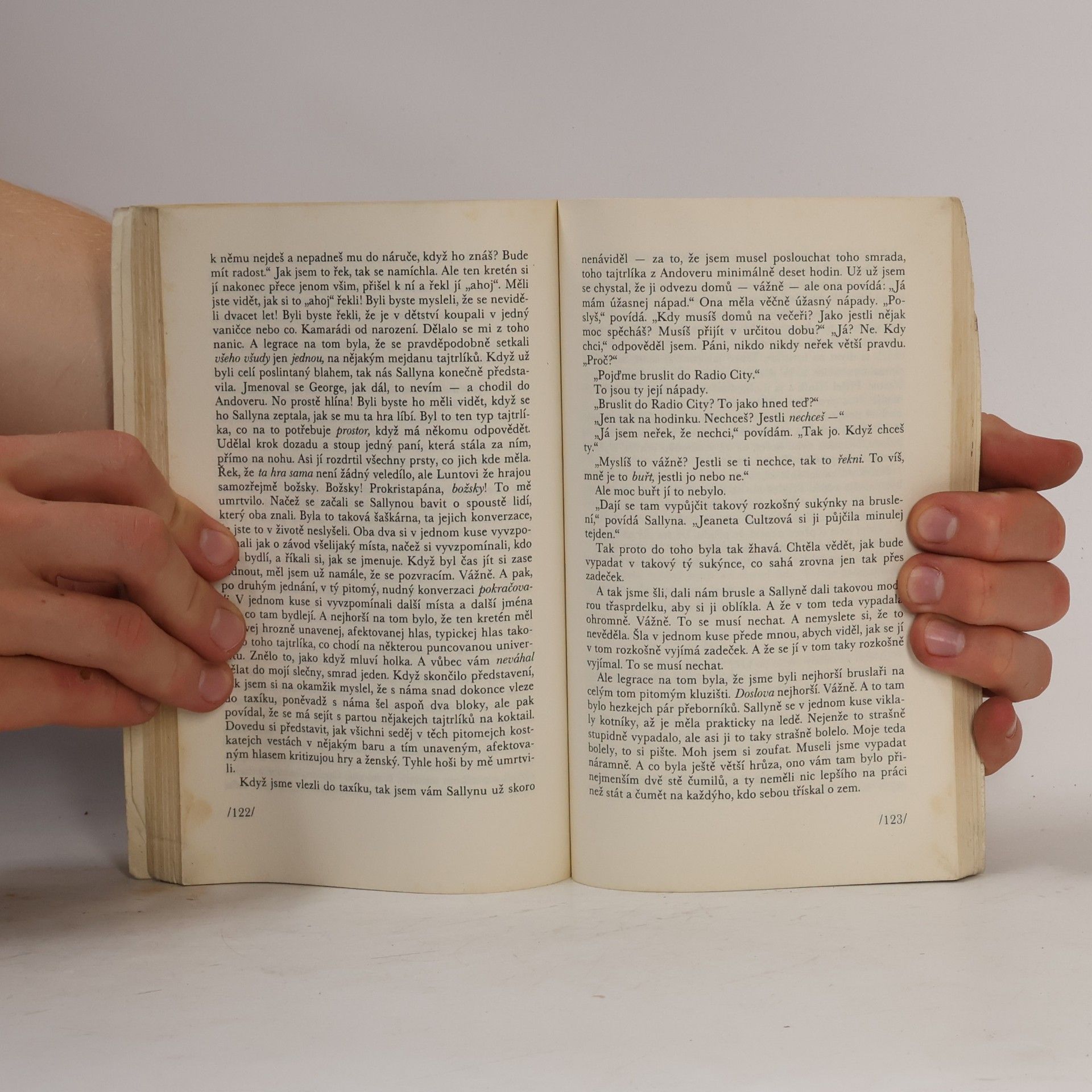 J. D. Salinger Kdo chytá v žitě