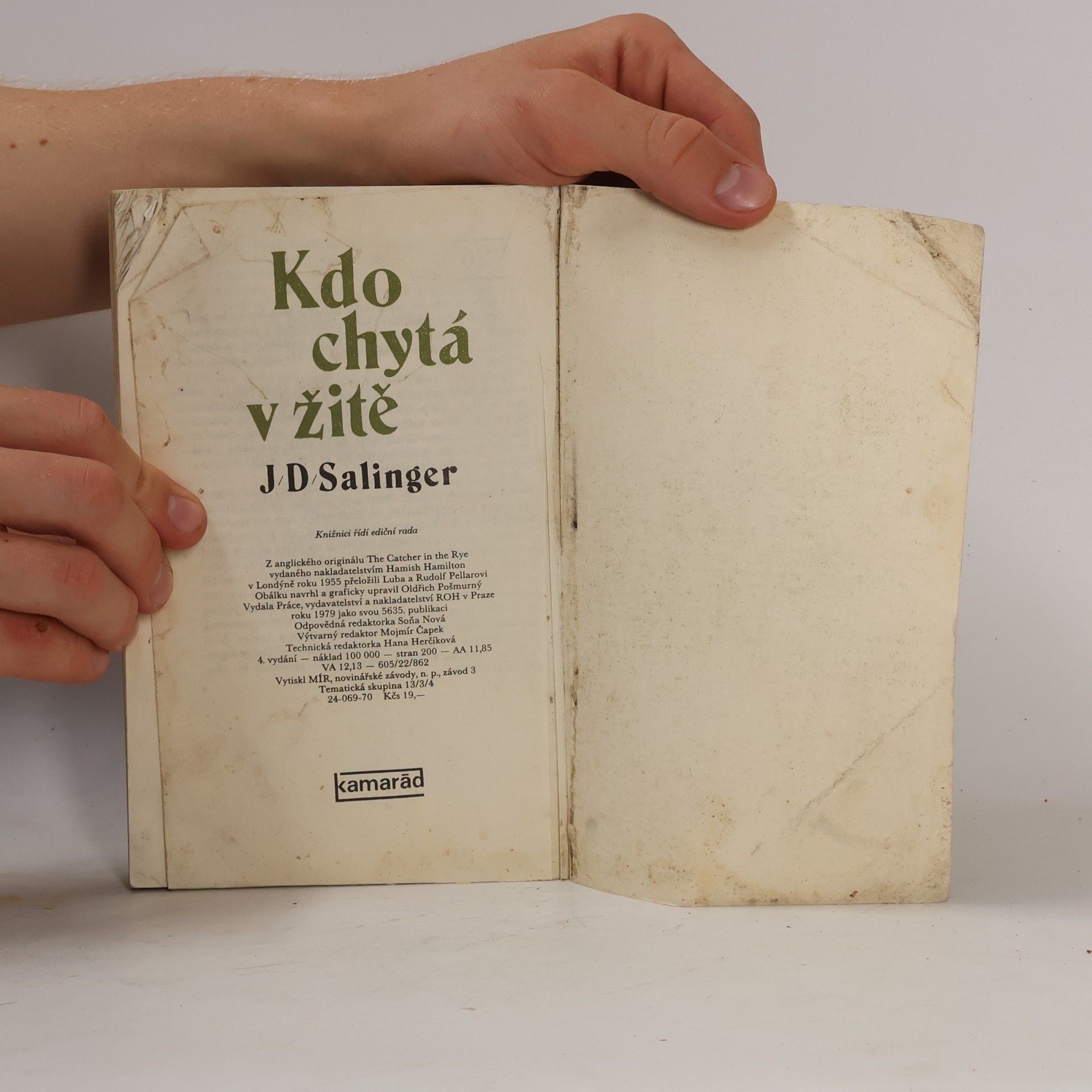 J. D. Salinger Kdo chytá v žitě