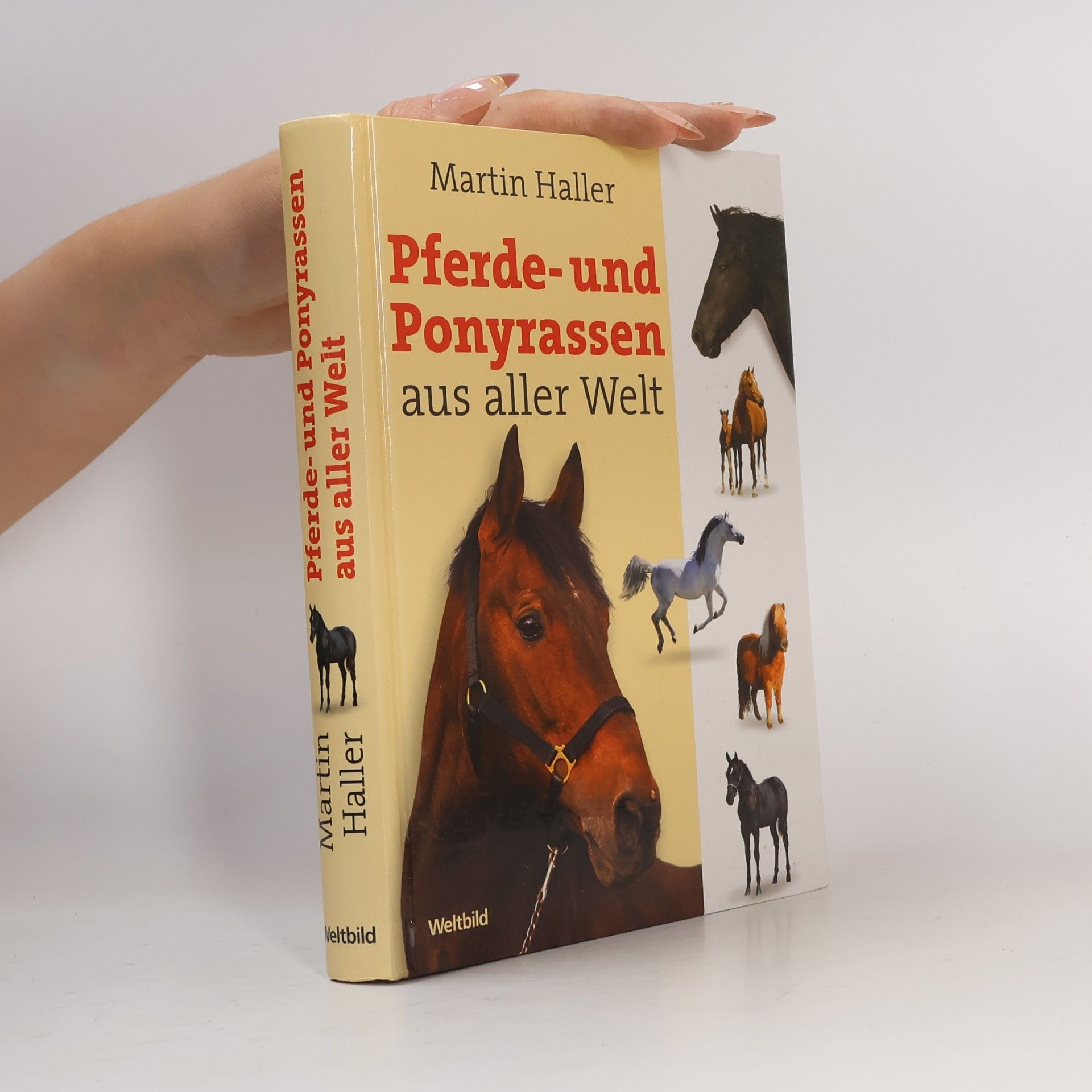 Pferde- und Ponyrassen aus aller Welt
