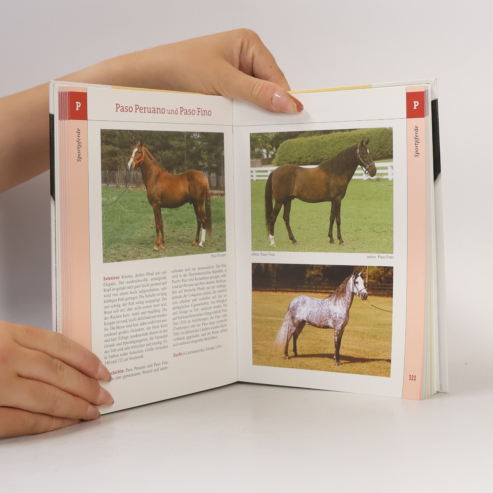 Martin Haller Pferde- und Ponyrassen aus aller Welt